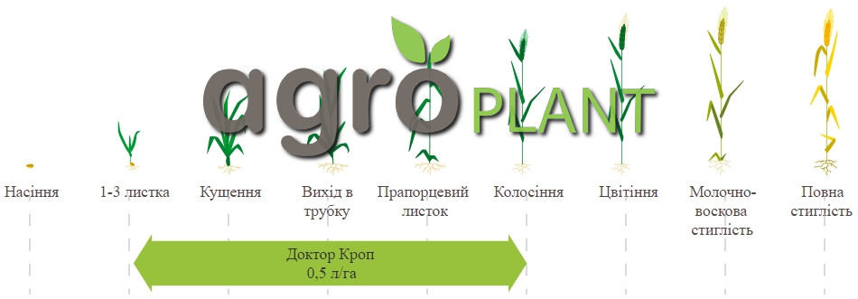 Доктор Кроп для ячменю ярого