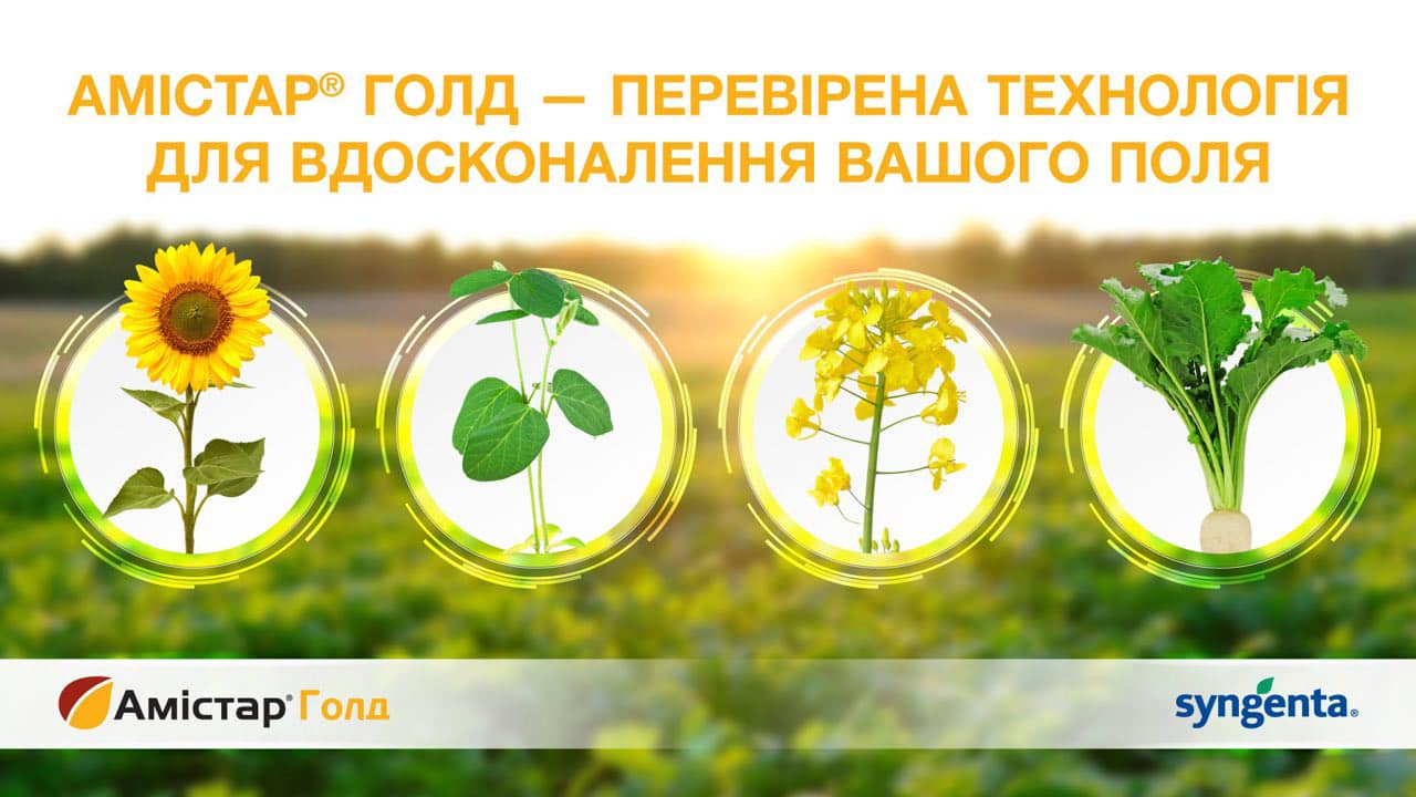 Амістар Голд фунгіцид