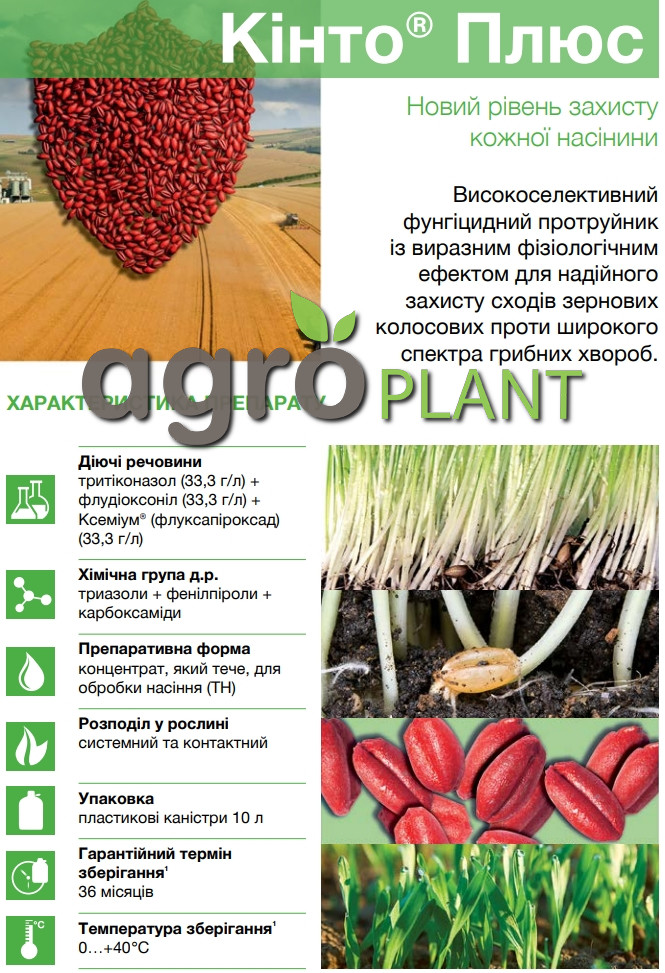 Кинто Плюс