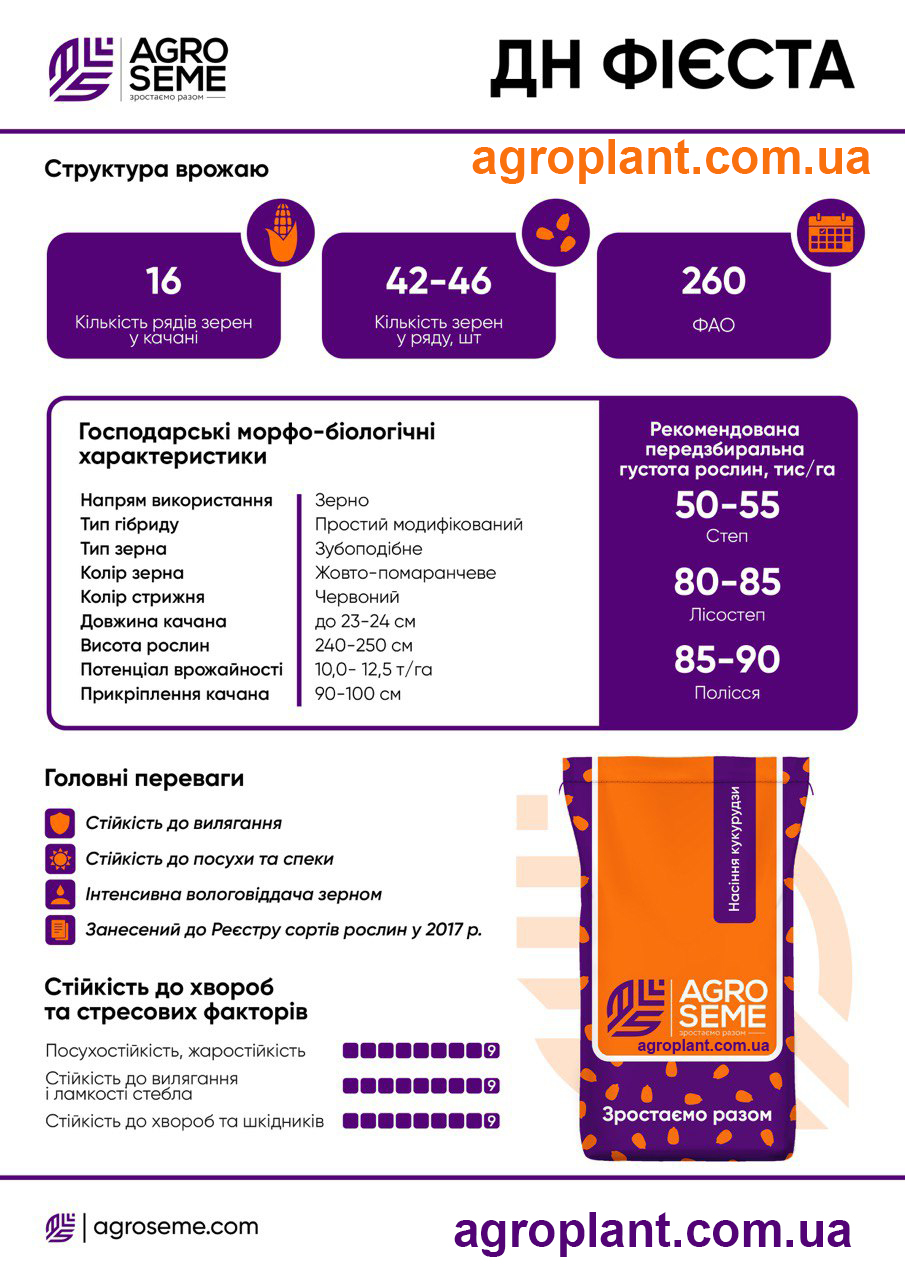 характеристики гібрида кукурудзи Фієста
