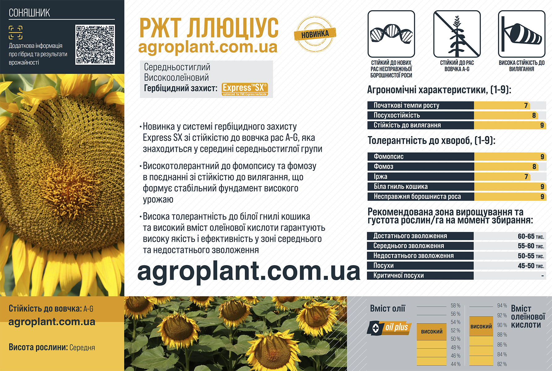 РЖТ Ллюціус характеристики