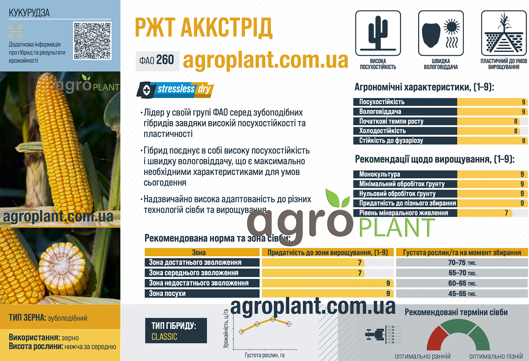 Кукуруза РЖТ Аккстрид