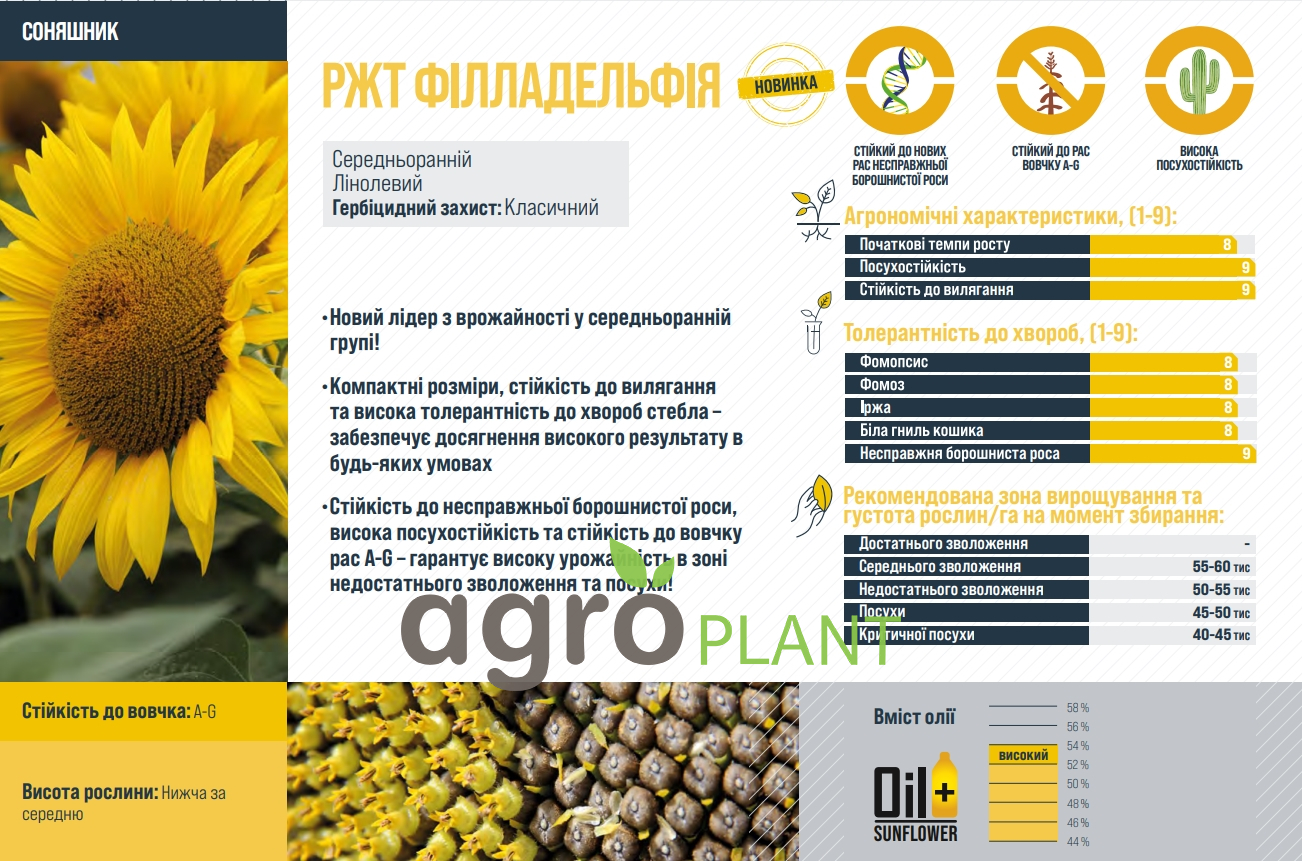 Подсолнечник РЖТ Филладельфия характеристики