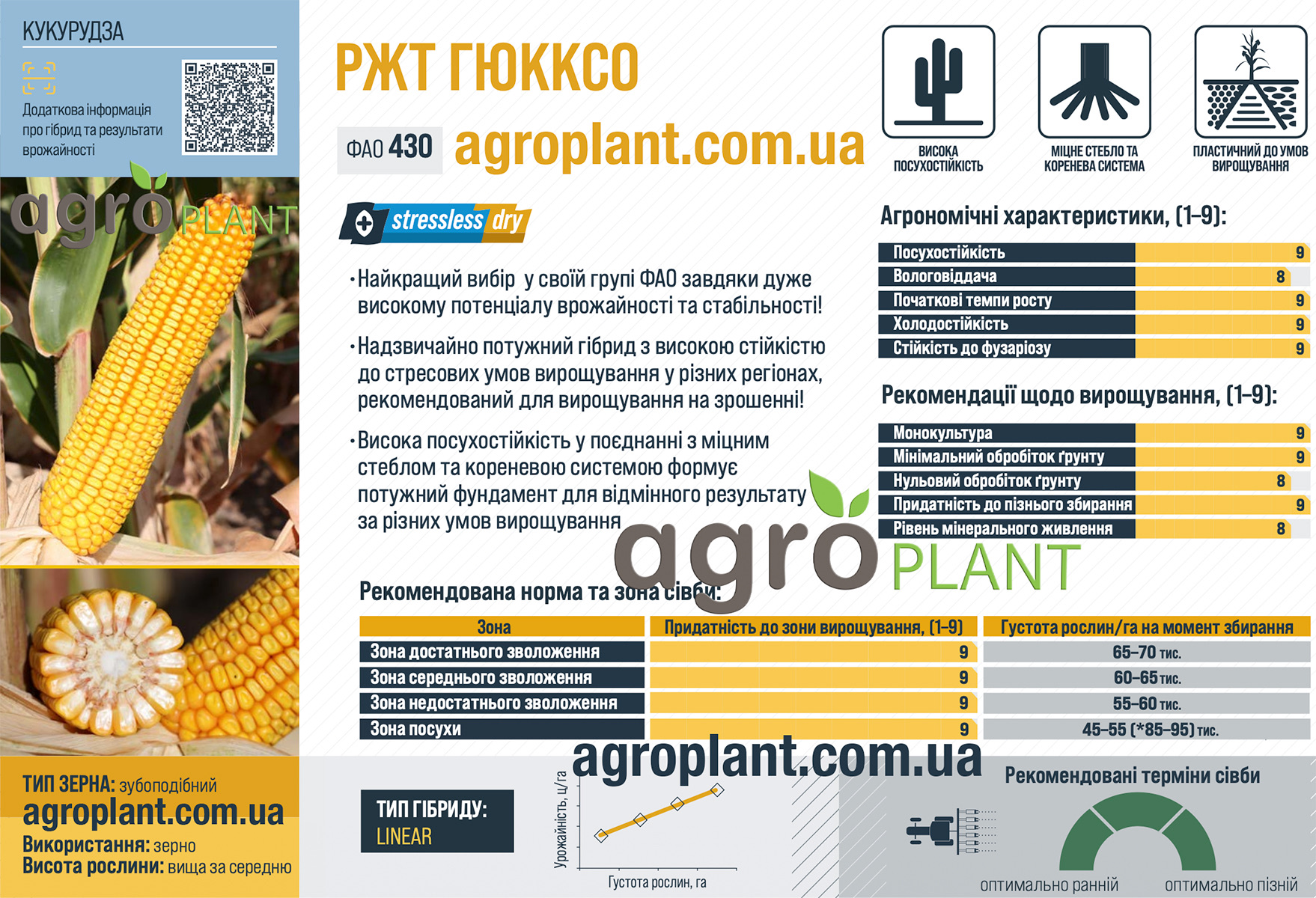 Кукуруза РЖТ Гюкксо