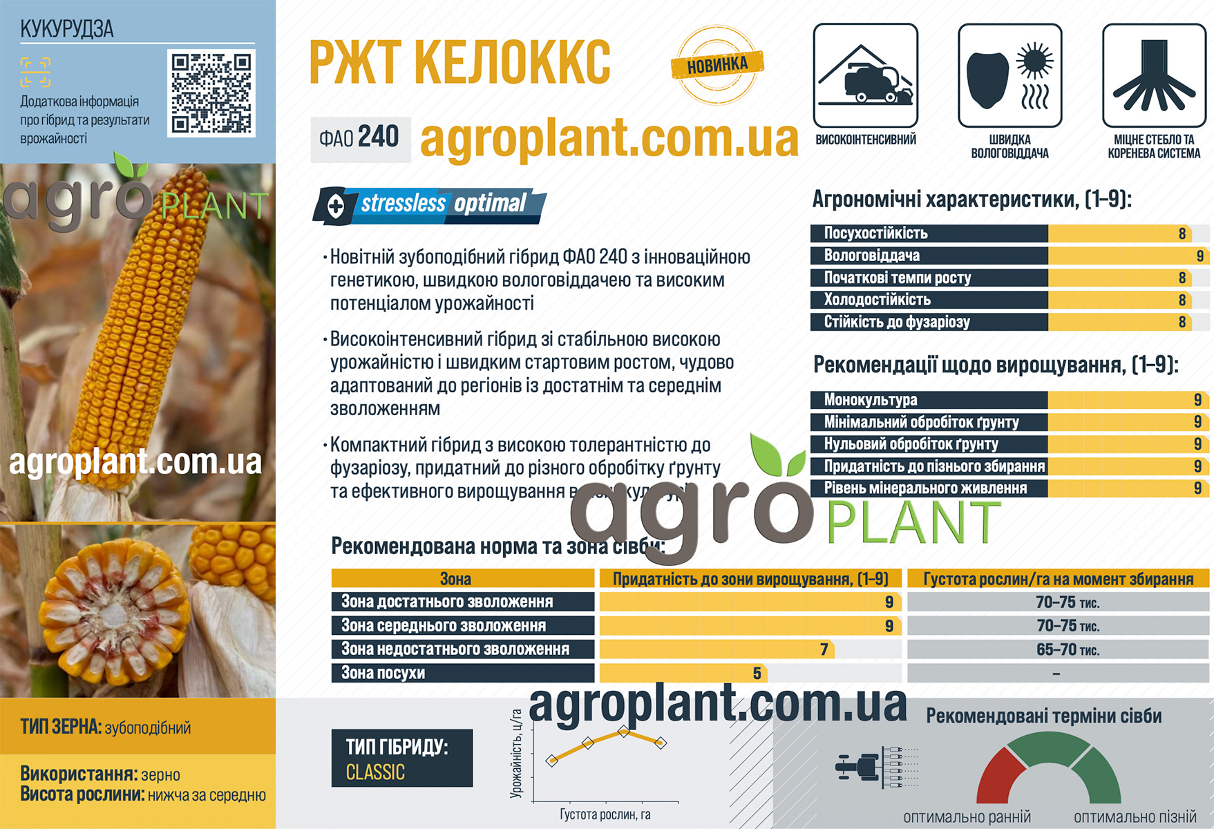Кукуруза РЖТ Келоккс