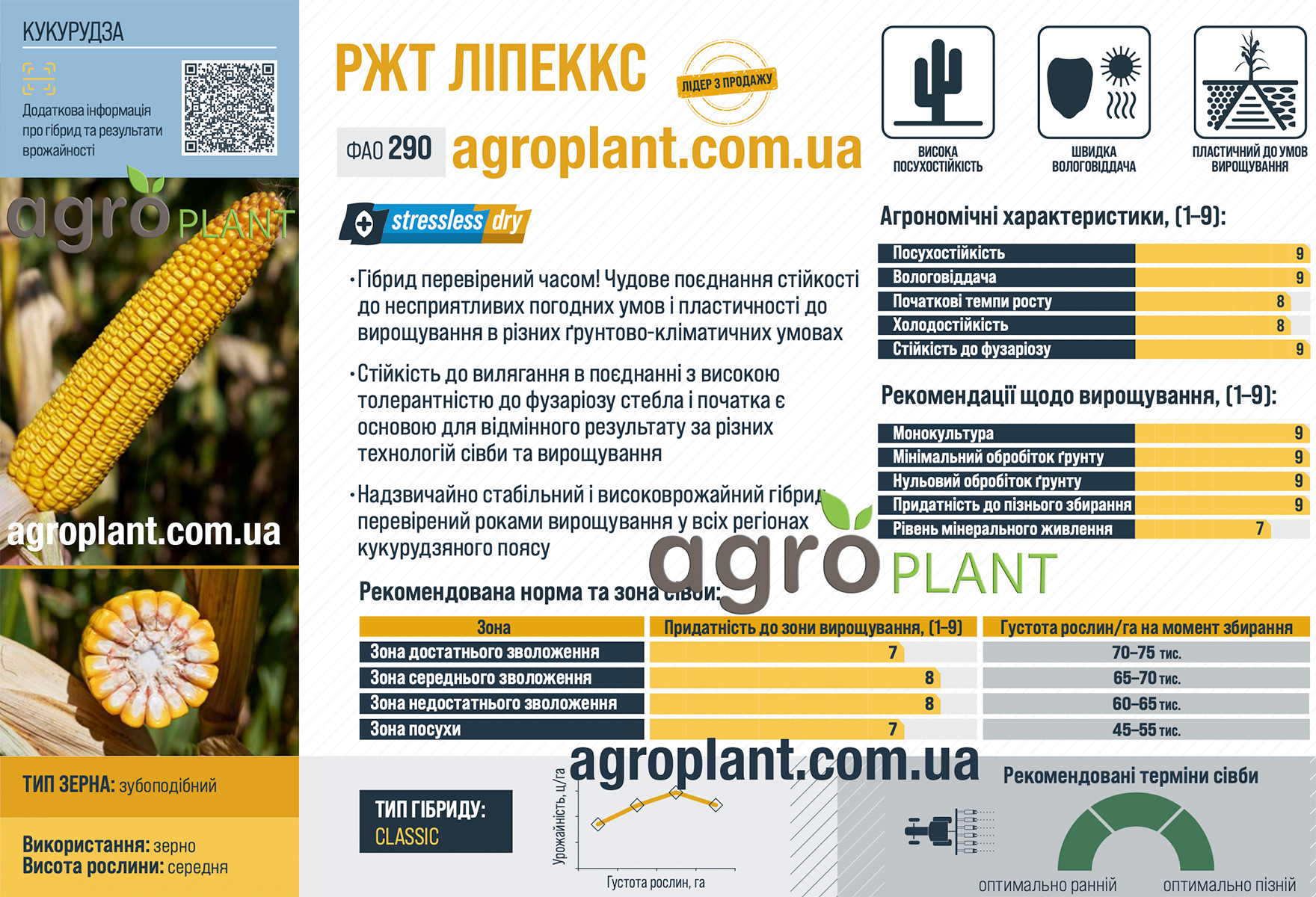 Кукуруза РЖТ Липеккс