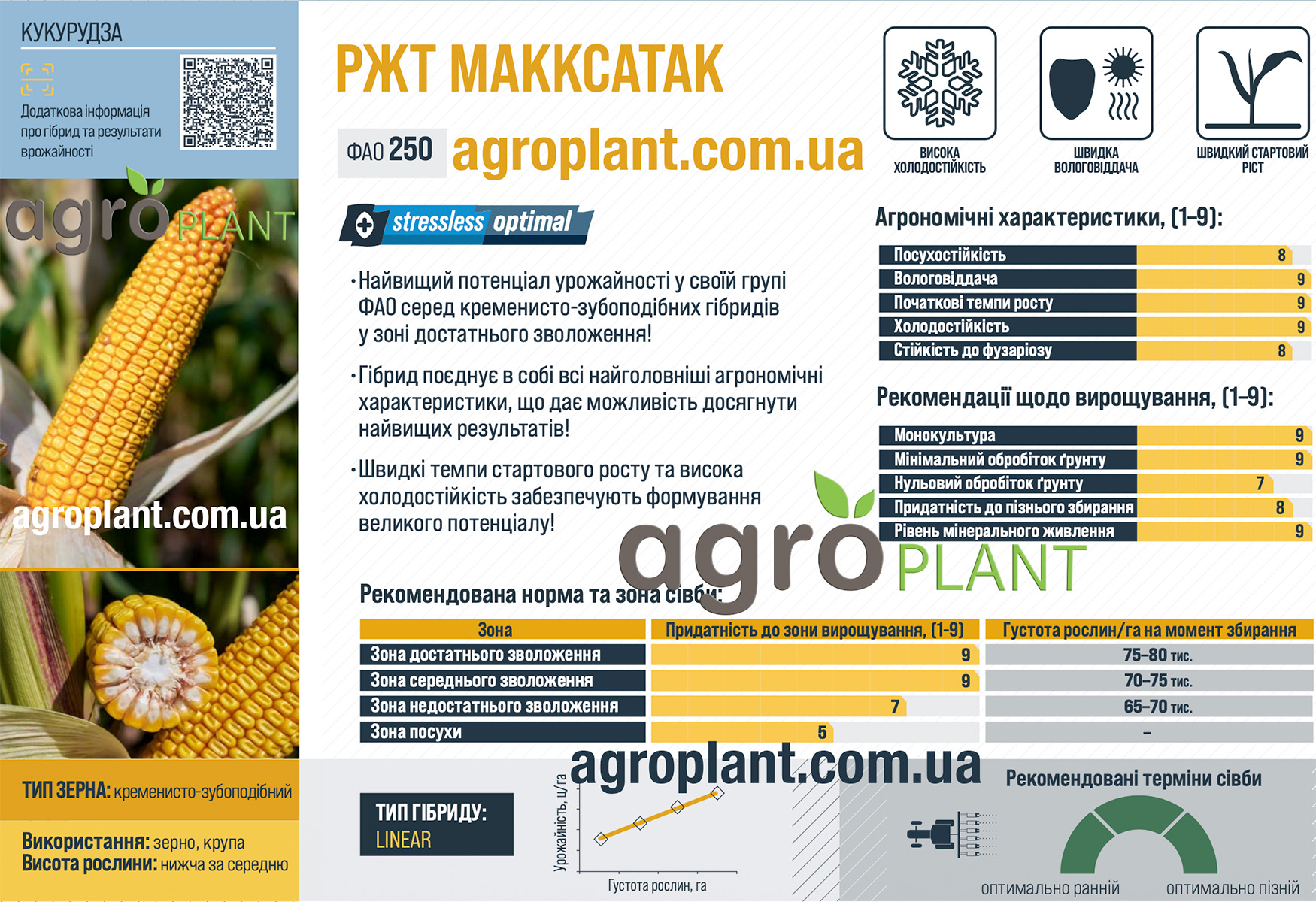 Кукуруза РЖТ Макксатак Кукуруза РЖТ Макксатак