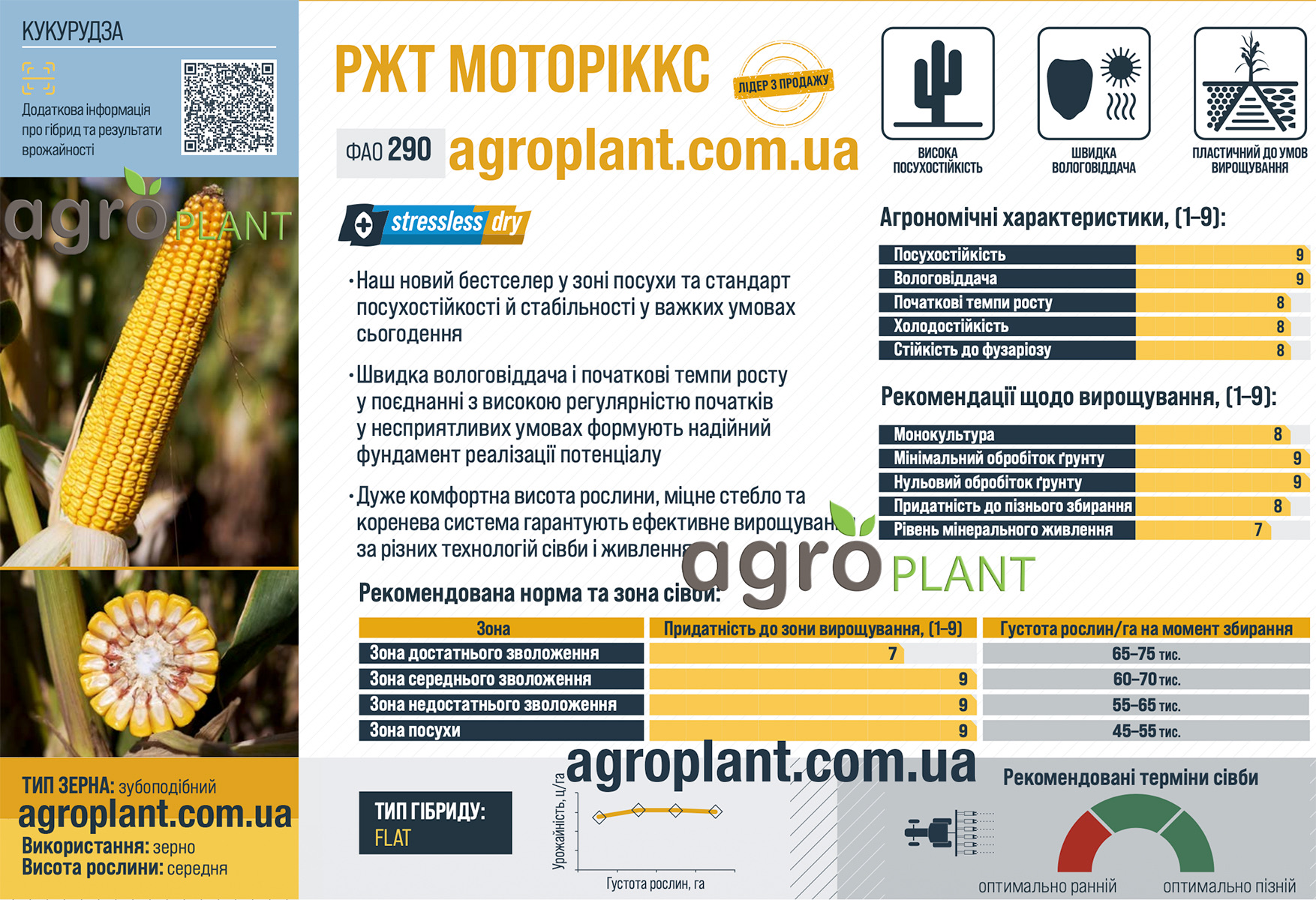Кукуруза РЖТ Моториккс Кукуруза РЖТ Моториккс