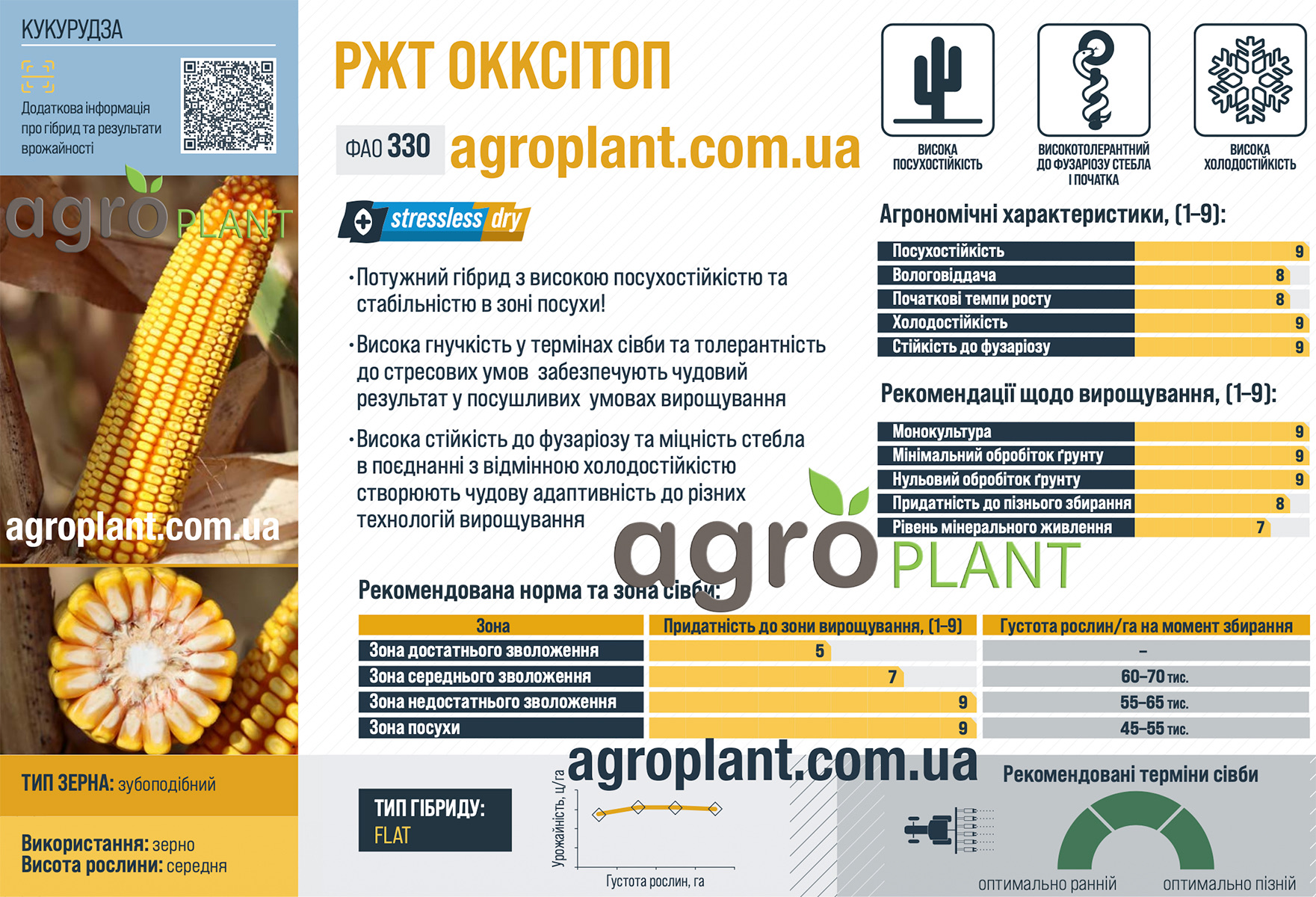 Кукуруза РЖТ Оккситоп