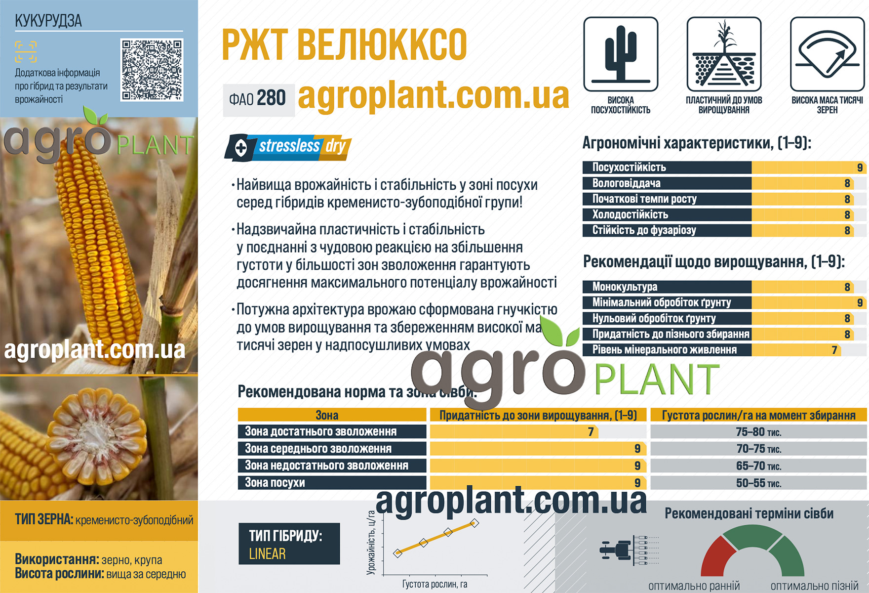 Кукуруза РЖТ Велюкксо