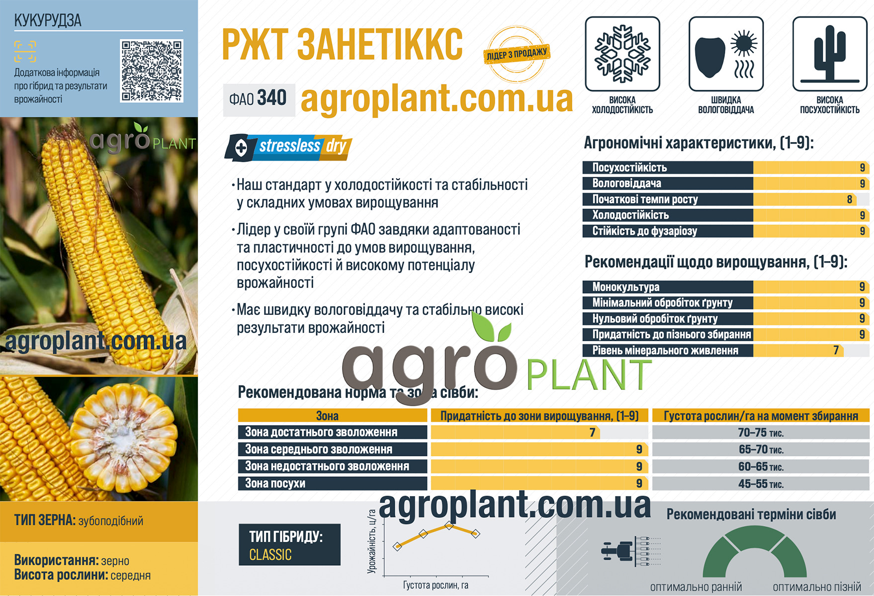 Кукуруза РЖТ Занетиккс Кукуруза РЖТ Занетиккс