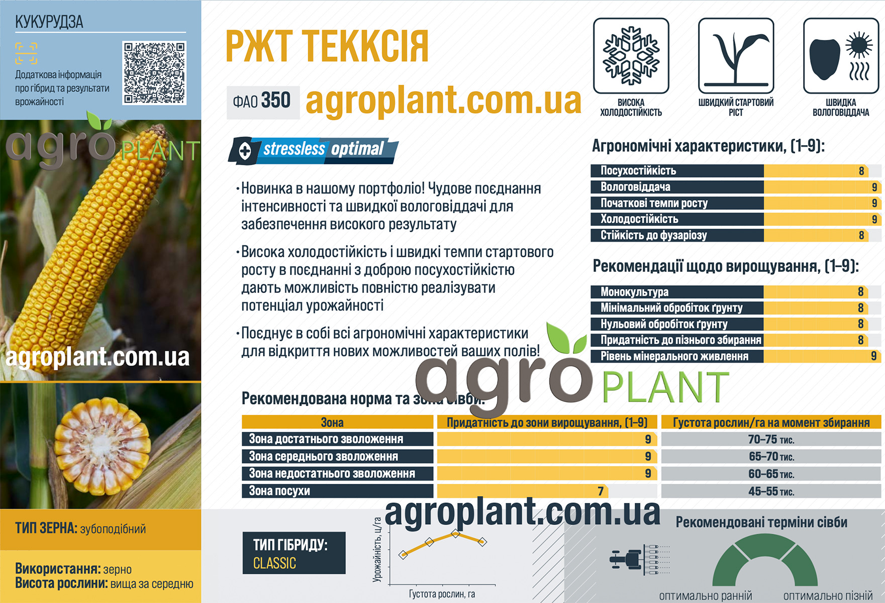 Кукурудза РЖТ Текксія