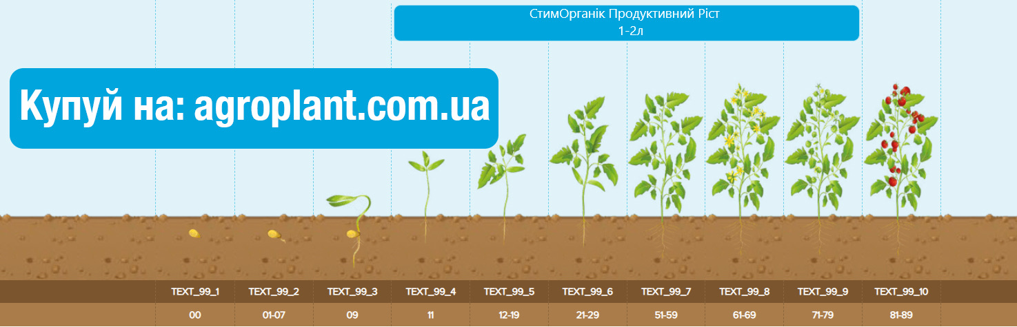 Застосування Гумат калію Продуктивний ріст на Ягодах