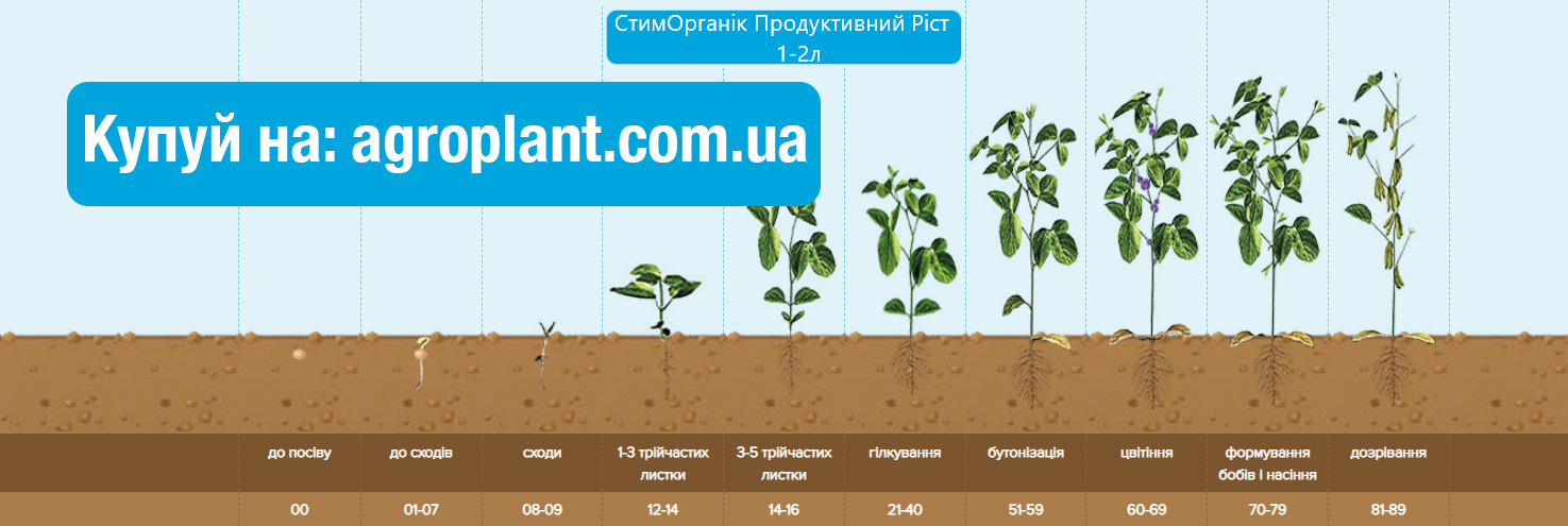 Застосування Гумат калію Продуктивний ріст на Сої