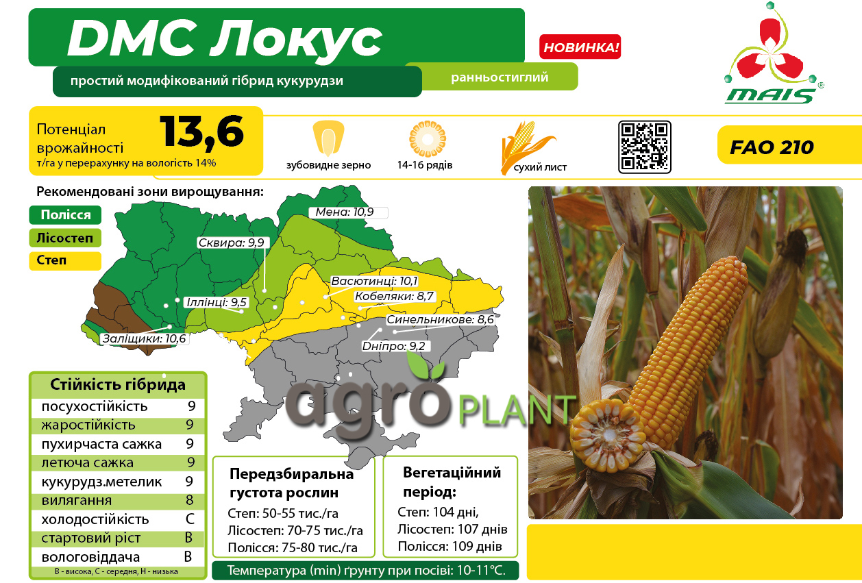 Кукуруза ДМ Локус Маис