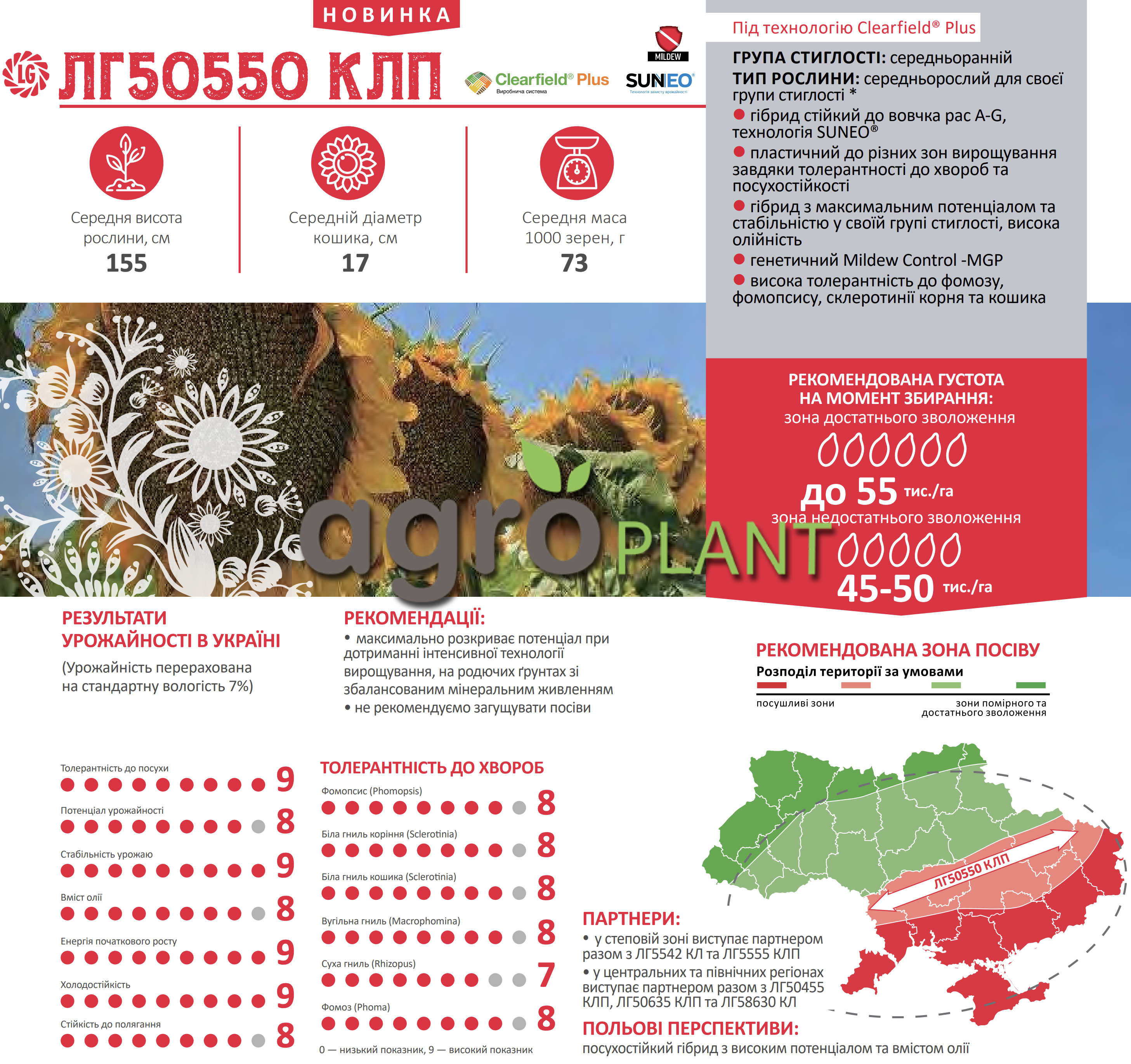 Соняшник ЛГ 50550 Лімагрейн