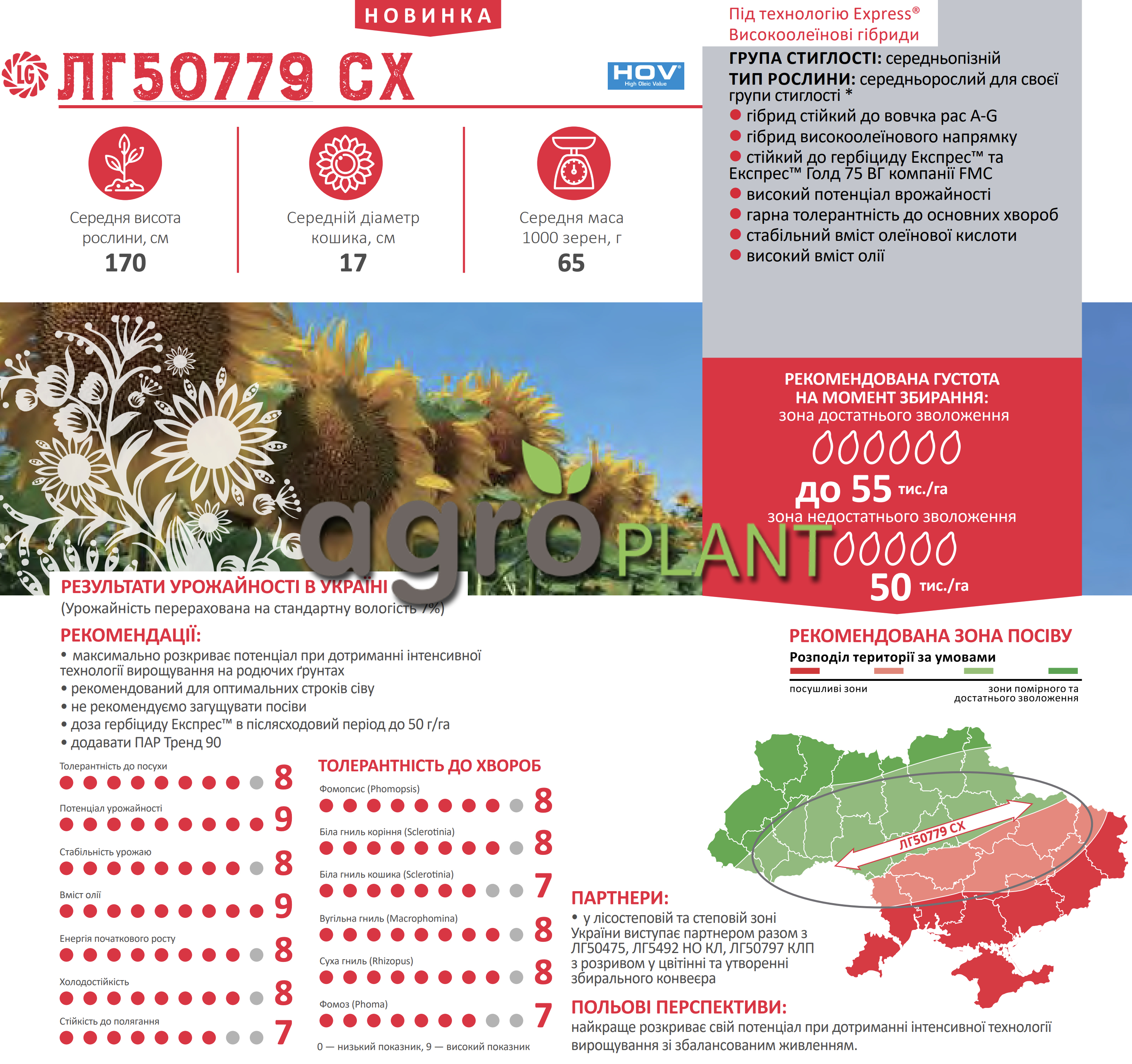 Характеристики ЛГ 50779 и урожайность