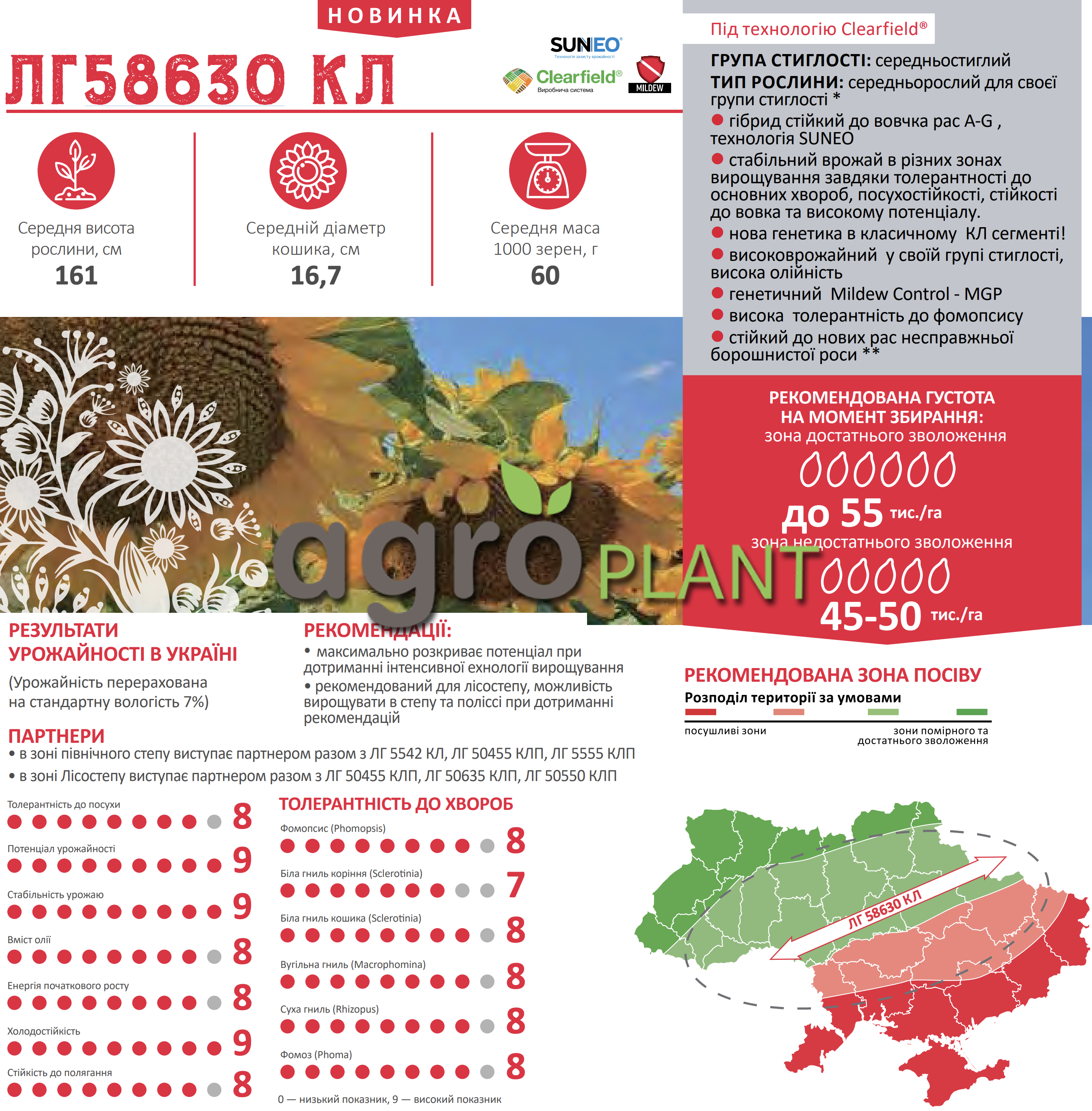 Соняшник ЛГ 58630 Лімагрейн