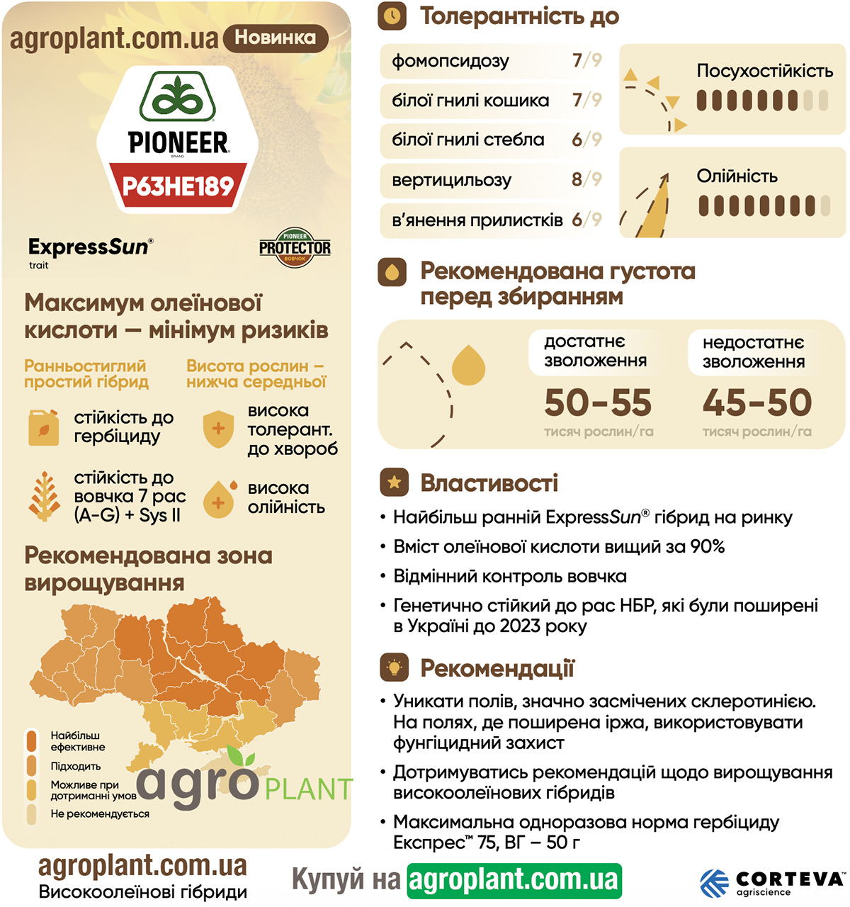 Інформація про соняшник Піонер 189 (П63ГЕ189 / P63HE189) з каталога Pioneer