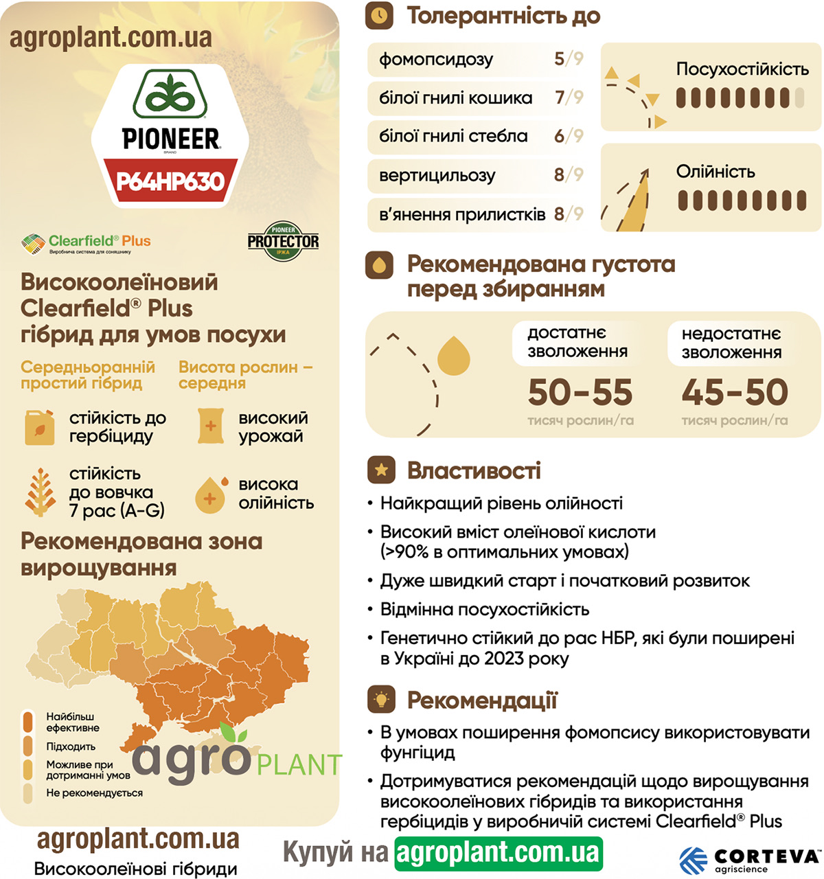 Інформація про соняшник Піонер 630 (П64ГП630 / P64HP630) з каталога Pioneer