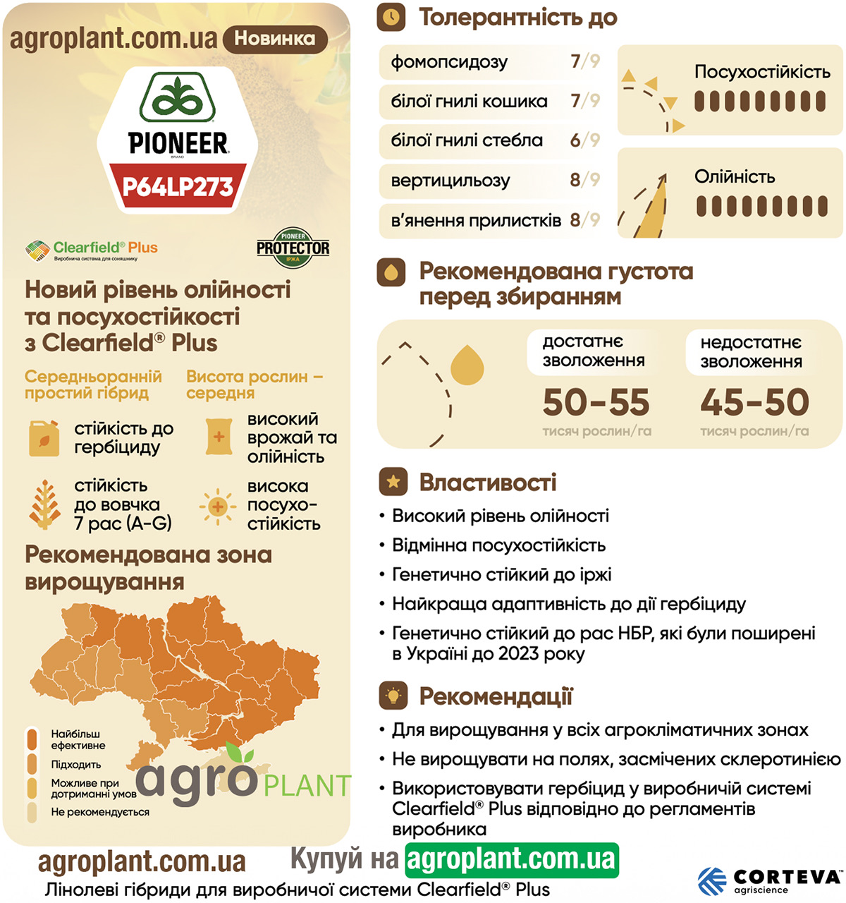 Інформація про соняшник Піонер 273 (П64ЛП273 / P64LP273) з каталога Pioneer