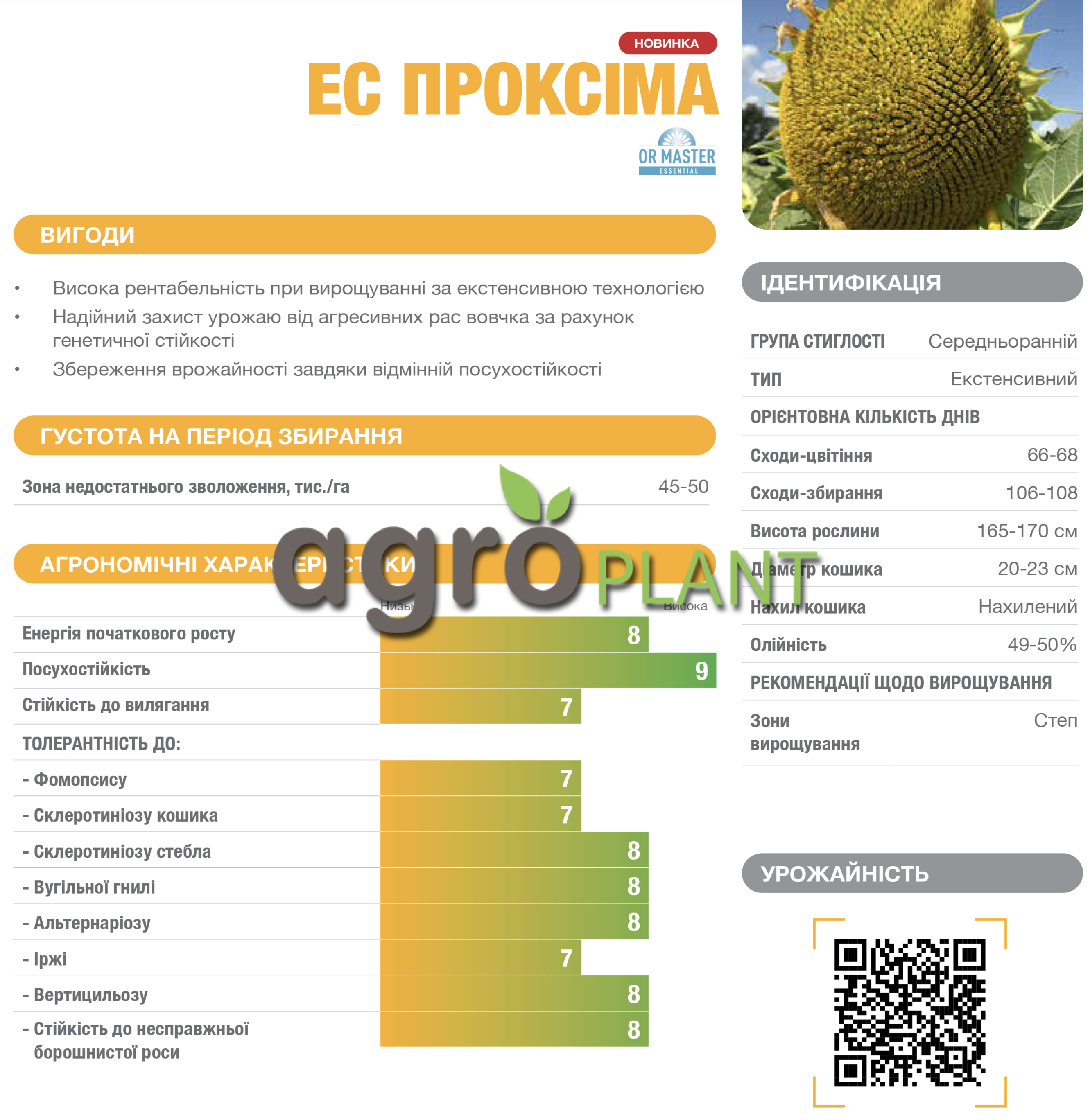 Информация о подсолнечнике Проксима из каталога Лидеа / Lidea