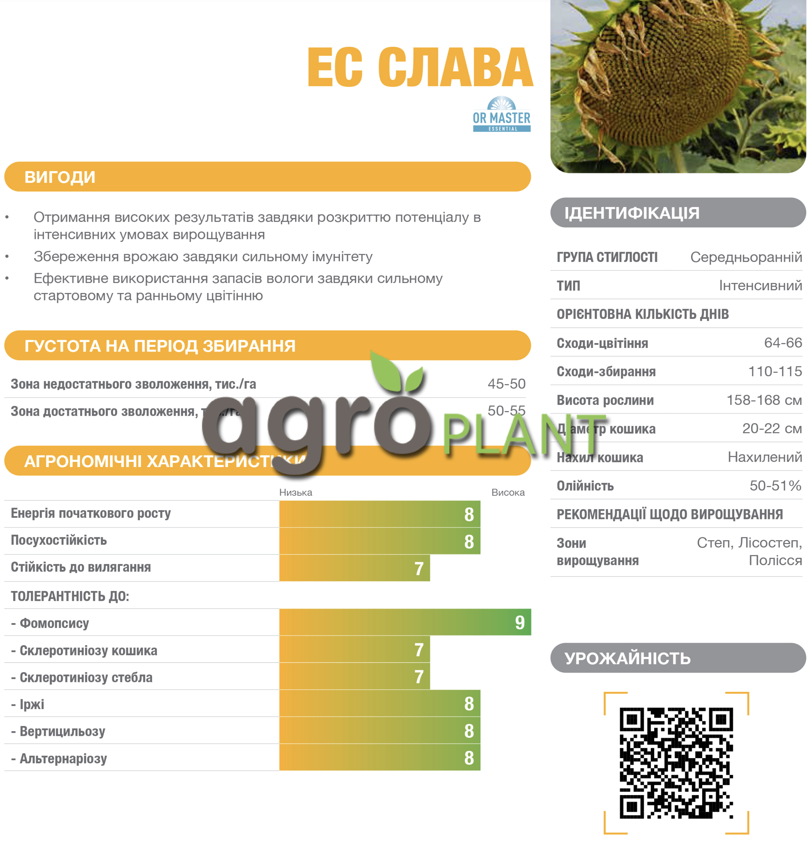 Информация о подсолнечнике Слава из каталога Лидеа / Lidea