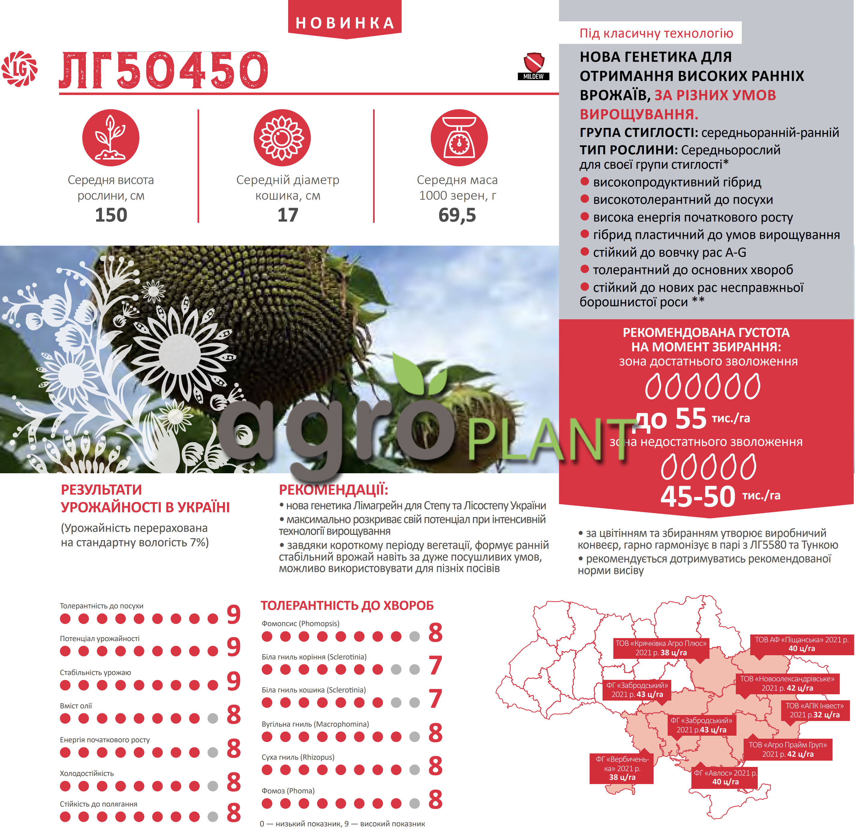 Соняшник ЛГ50450 Лімагрейн