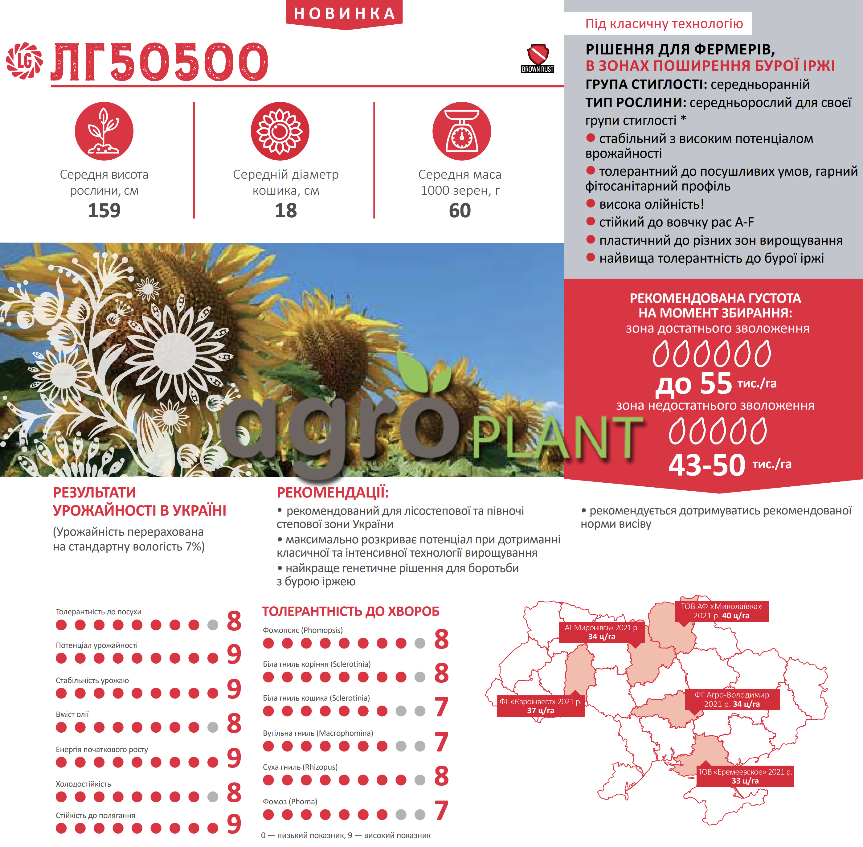 Соняшник ЛГ 50500 Лімагрейн
