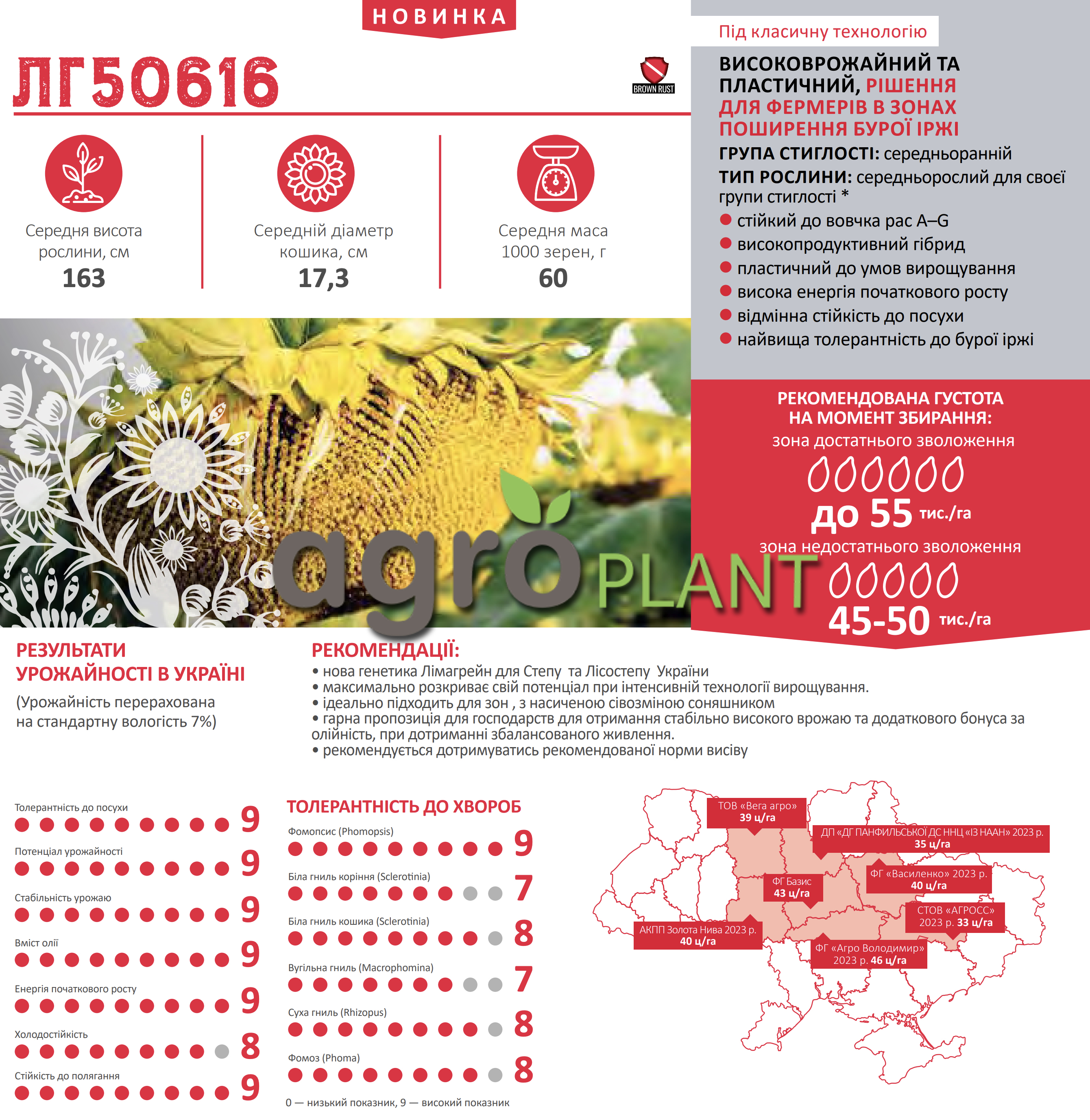 Соняшник ЛГ 50616 Лімагрейн