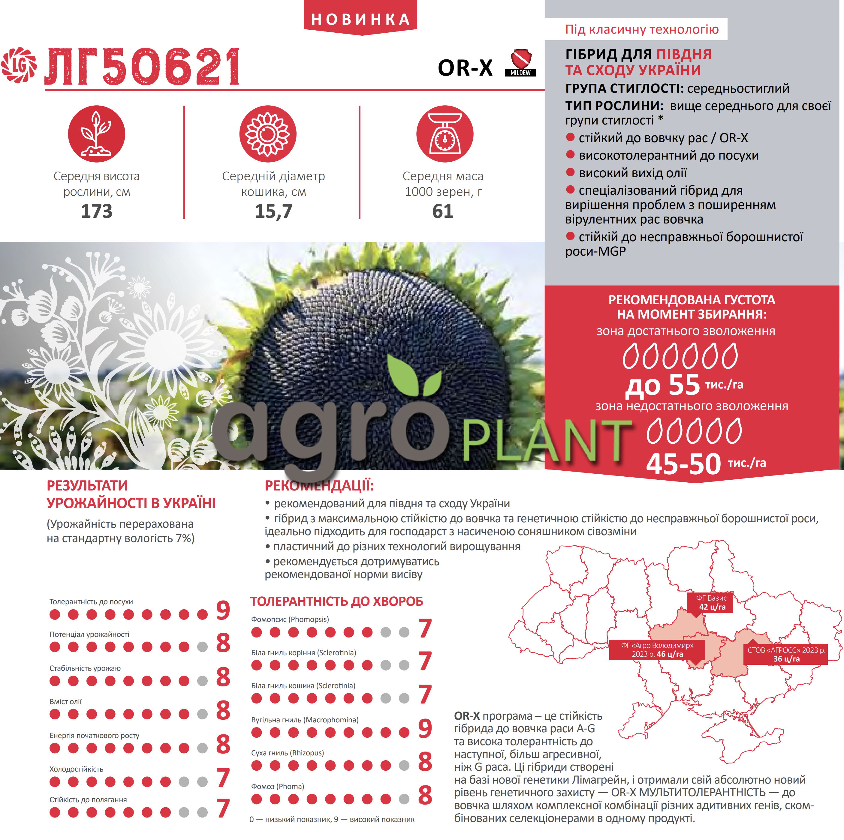 Соняшник ЛГ 50621 Лімагрейн
