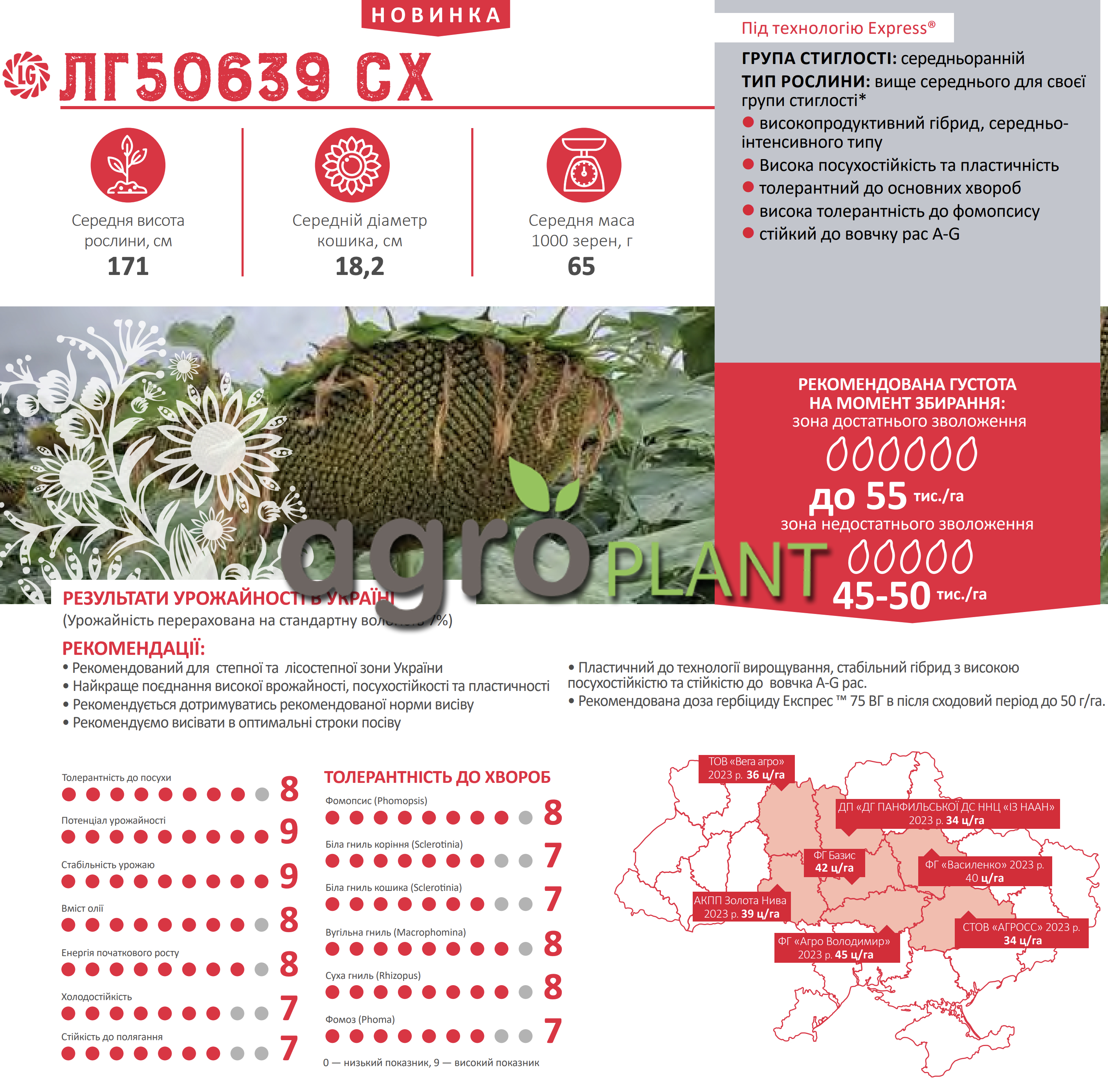 Соняшник ЛГ 50639 Лімагрейн