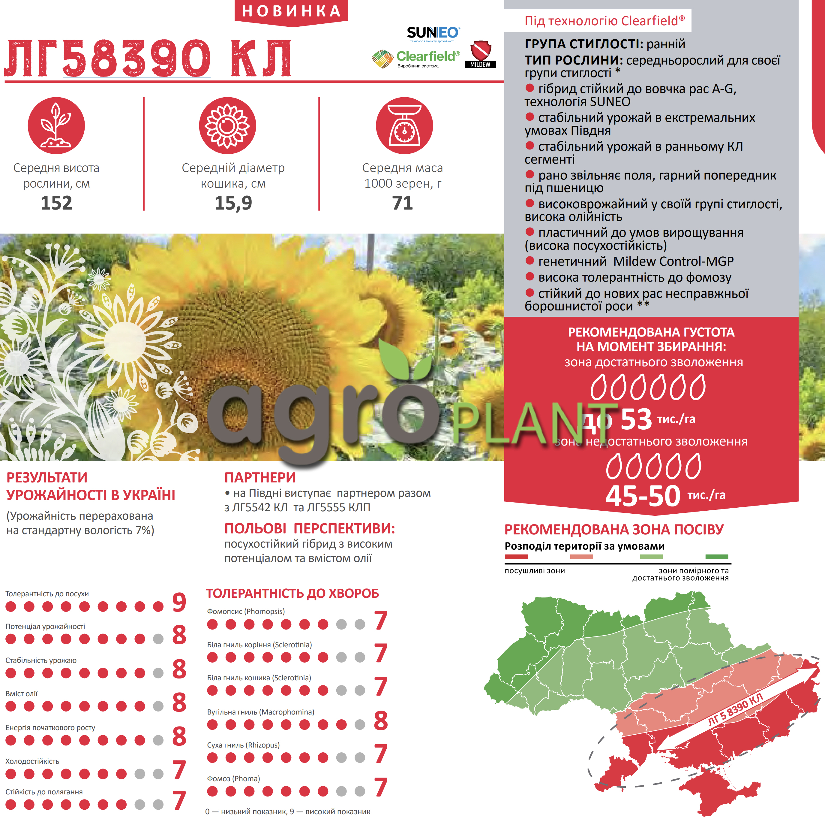Соняшник ЛГ 58390 Лімагрейн