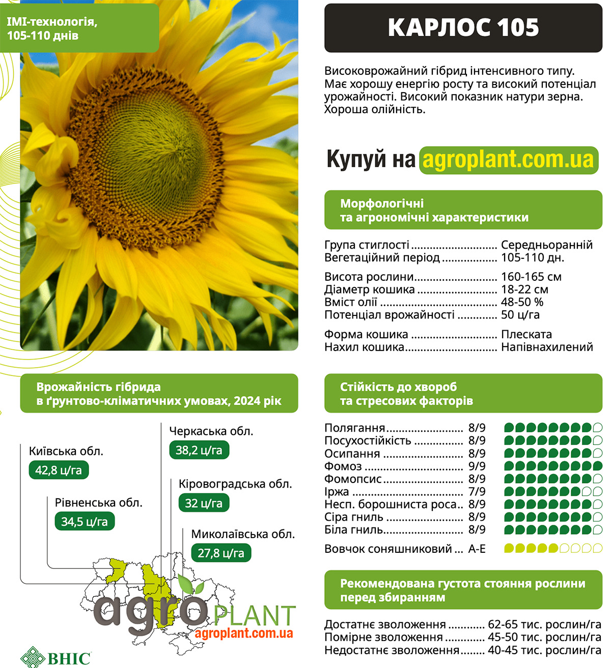 Соняшник Карлос 105 (ВНІС) Характеристики