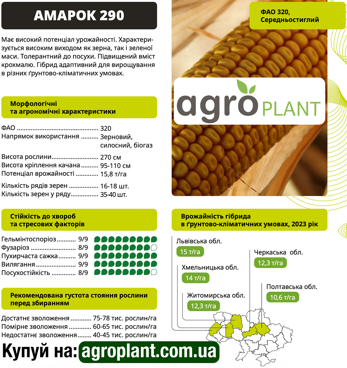 Кукуруза Амарок 290 ВНИС