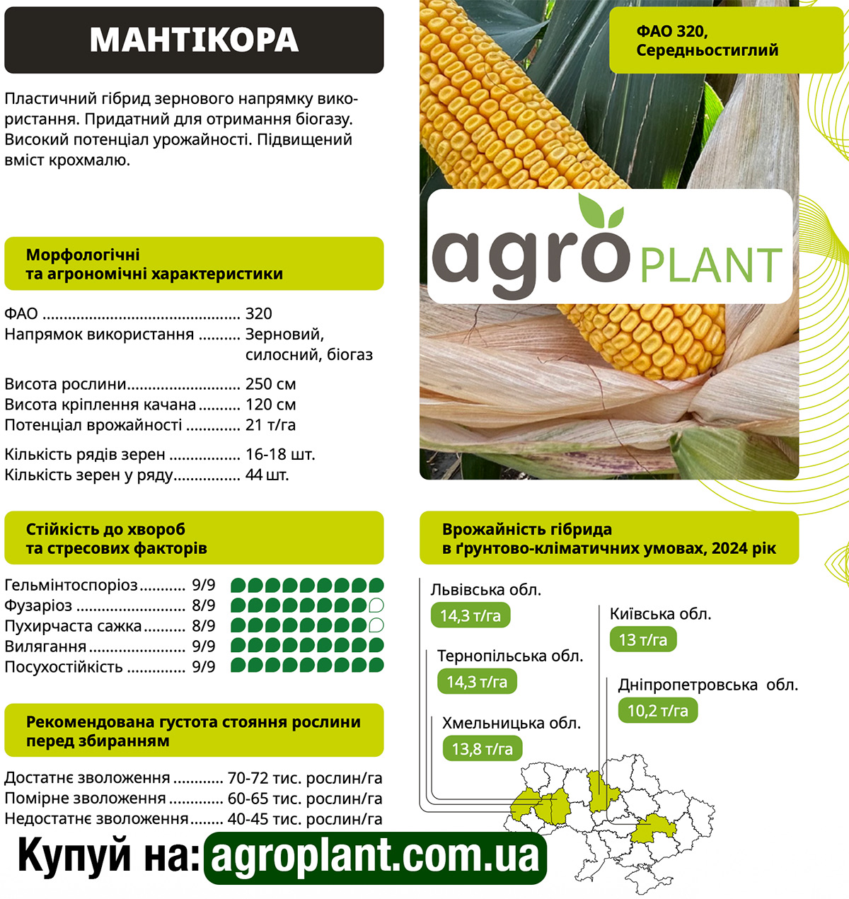 Кукуруза Мантикора ВНИС