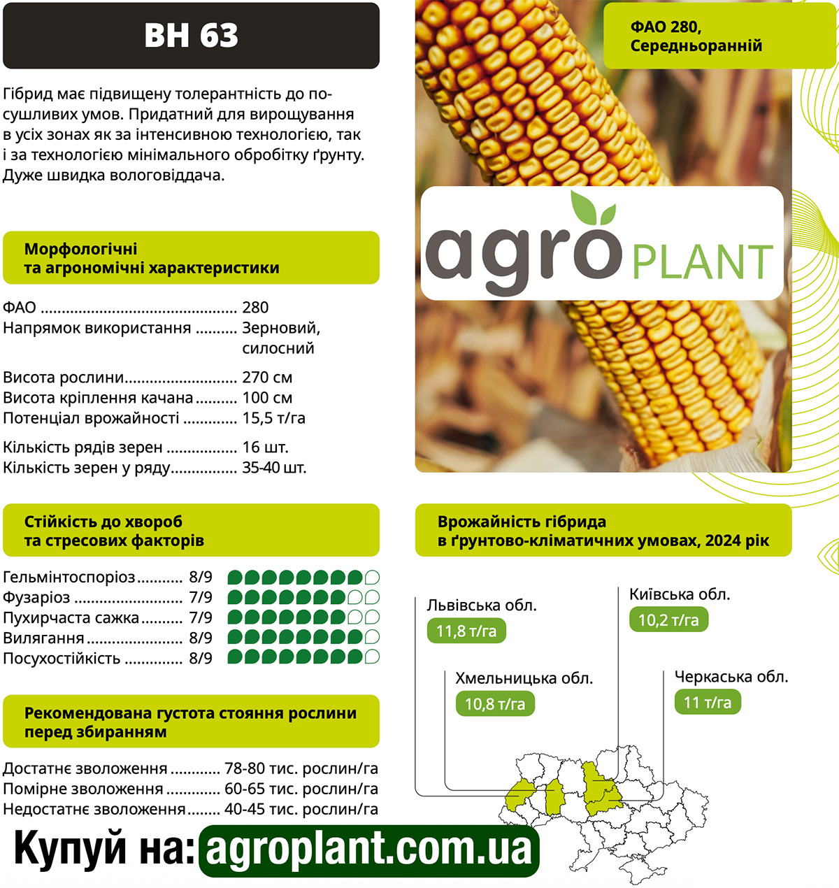 Кукурудза ВН 63 ВНІС