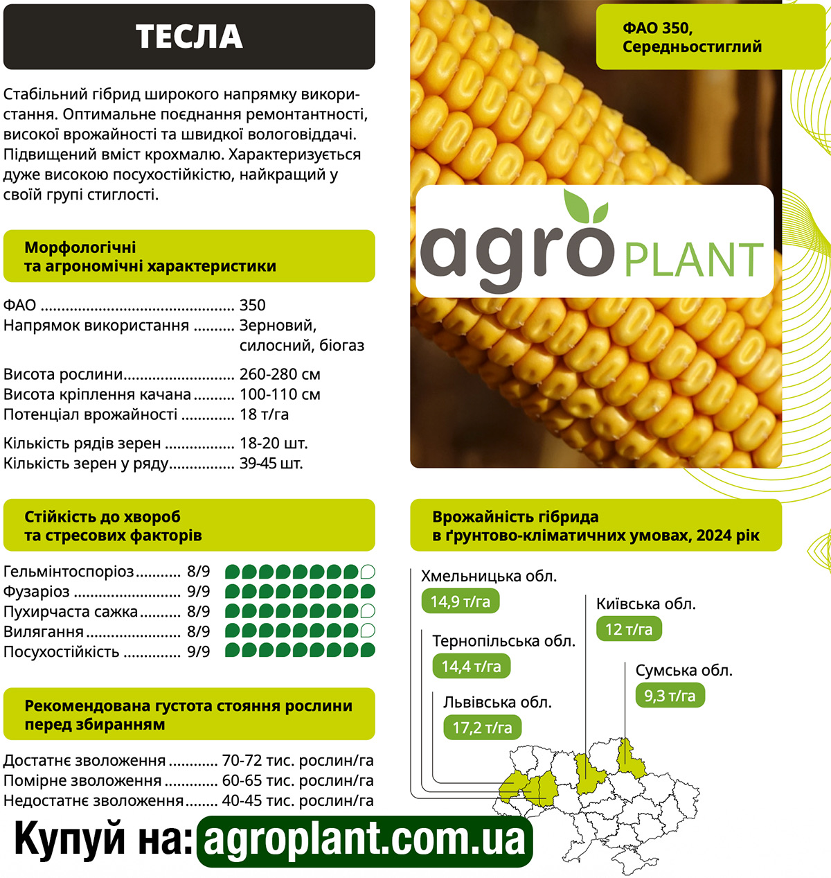 Семена кукурузы Тесла ВНИС