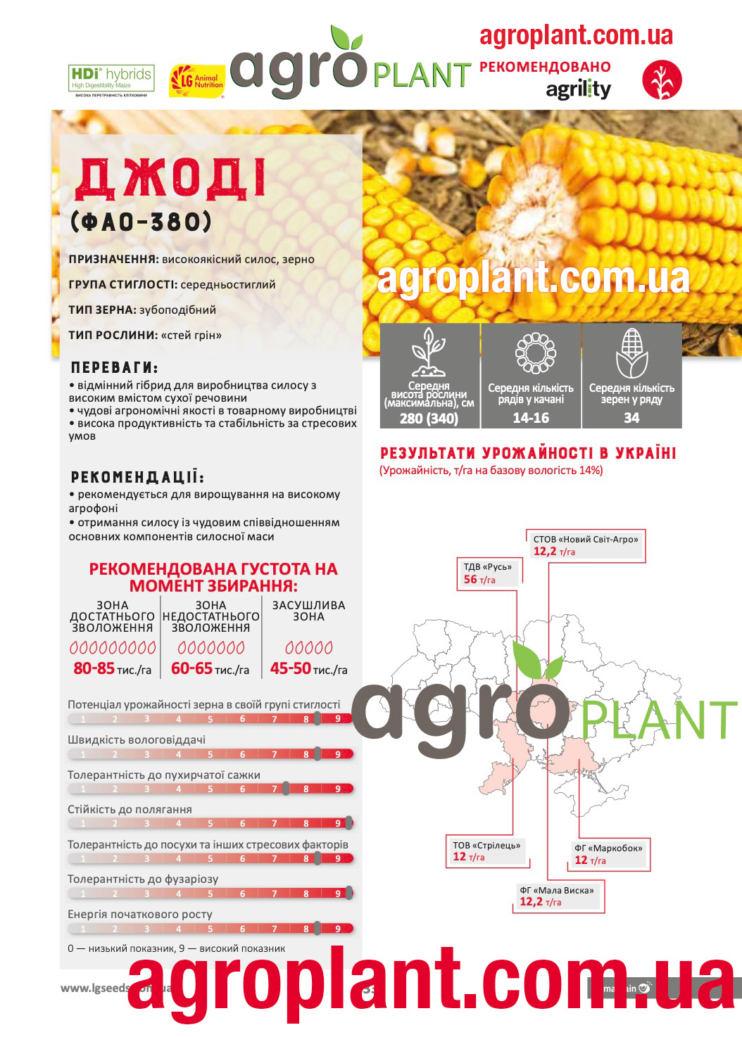 Насіння кукурудзи Джоді Лімагрейн