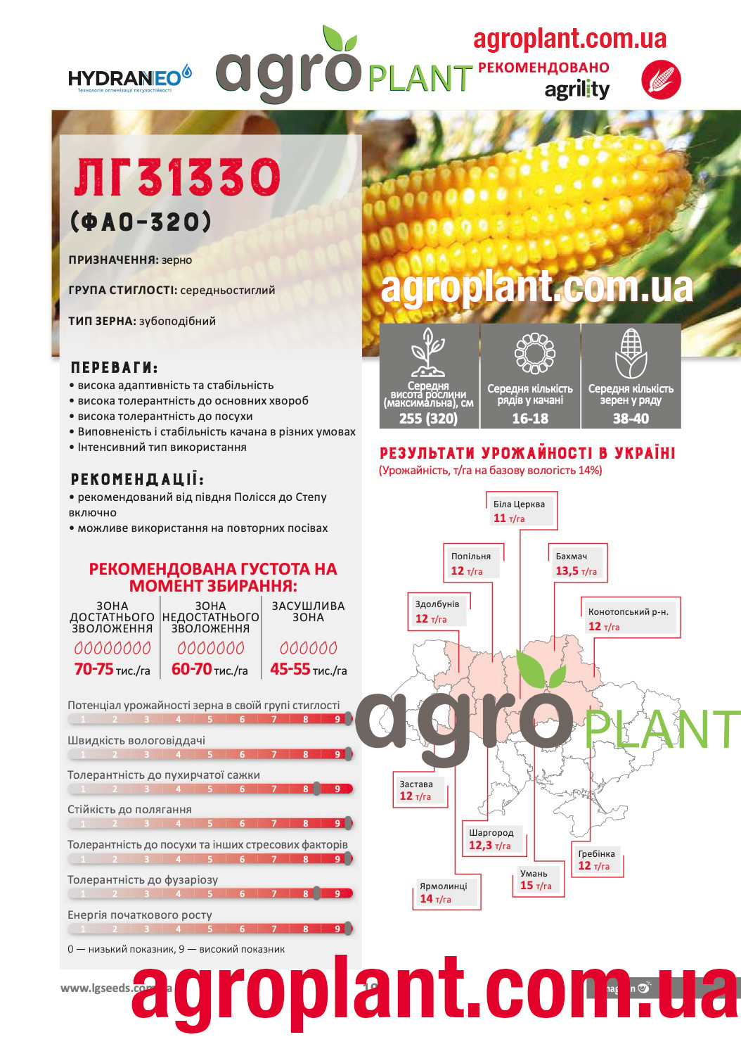 Насіння кукурудзи ЛГ 31330 Лімагрейн