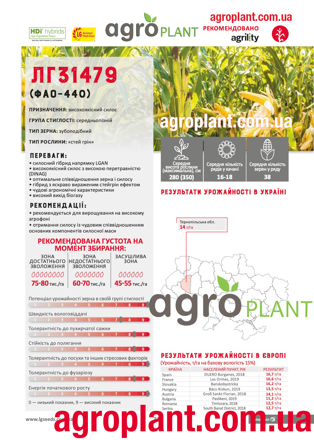 Кукурудза ЛГ 31479 Лімагрейн