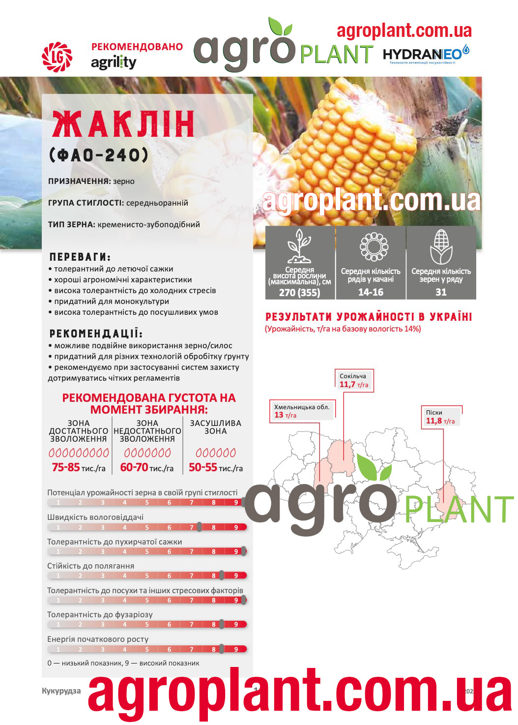 Насіння кукурудзи Жаклін Лімагрейн