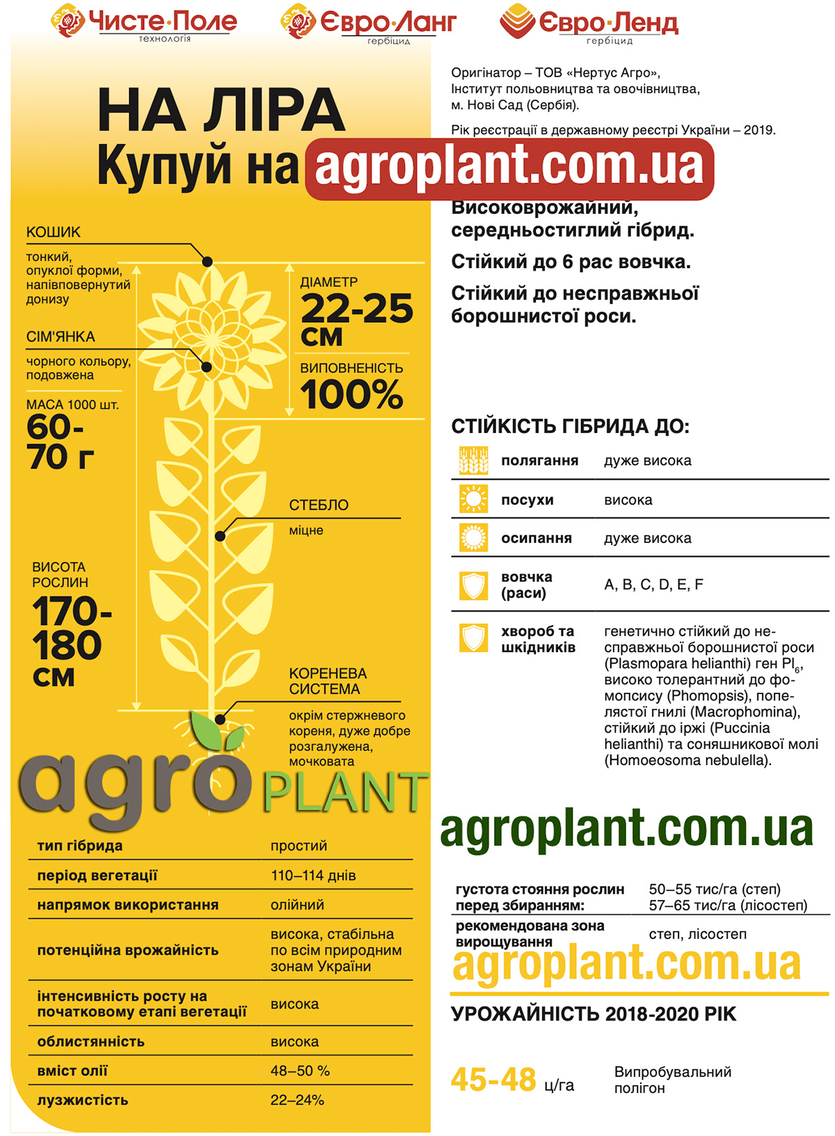 НА Ліра соняшник