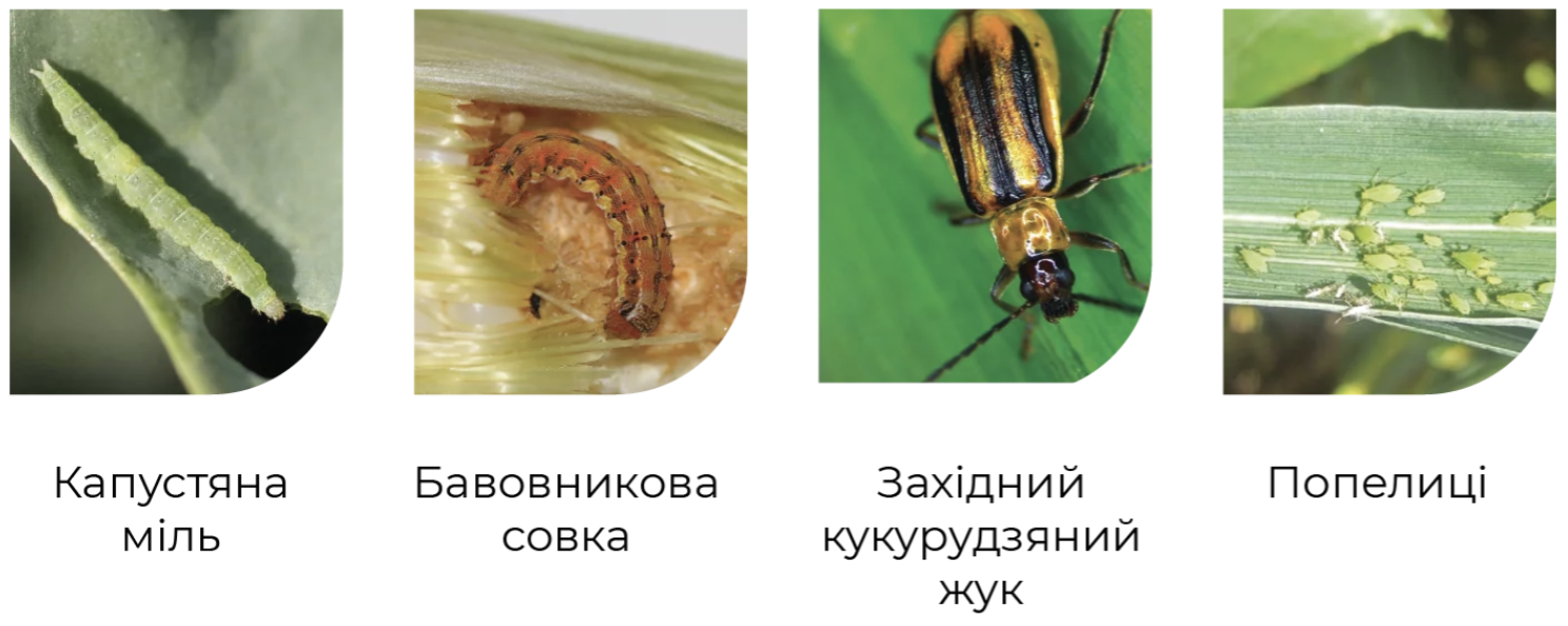 Эмиприд Про список вредителей