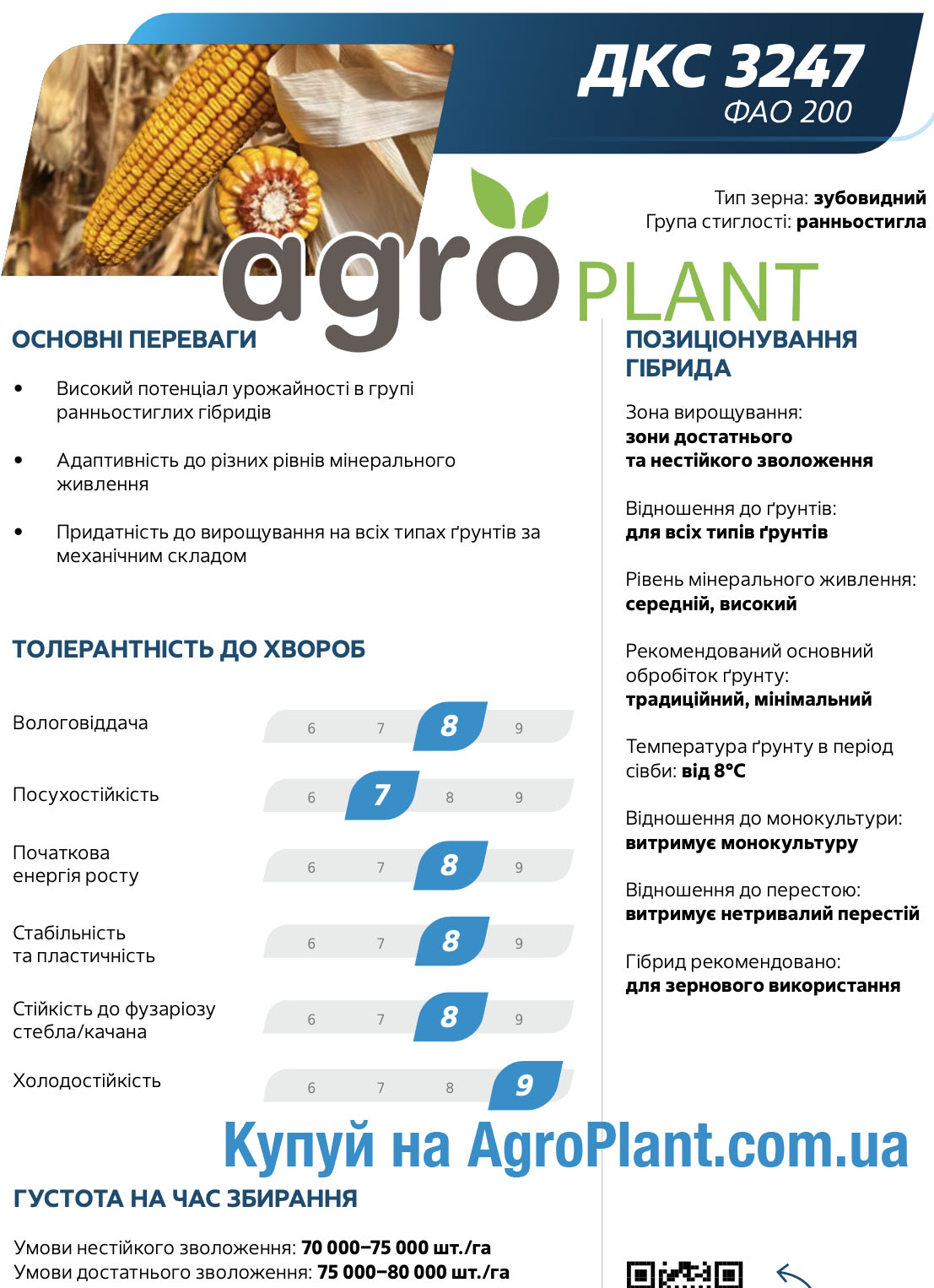 Насіння кукурудзи ДКС 3247 Монсанто