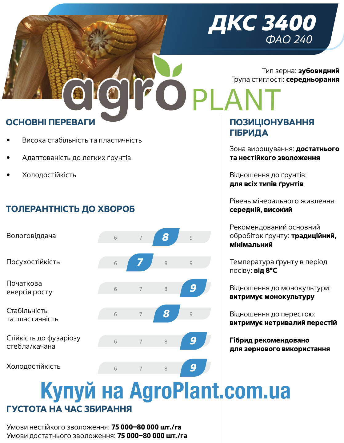 Насіння кукурудзи ДКС 3400 Монсанто