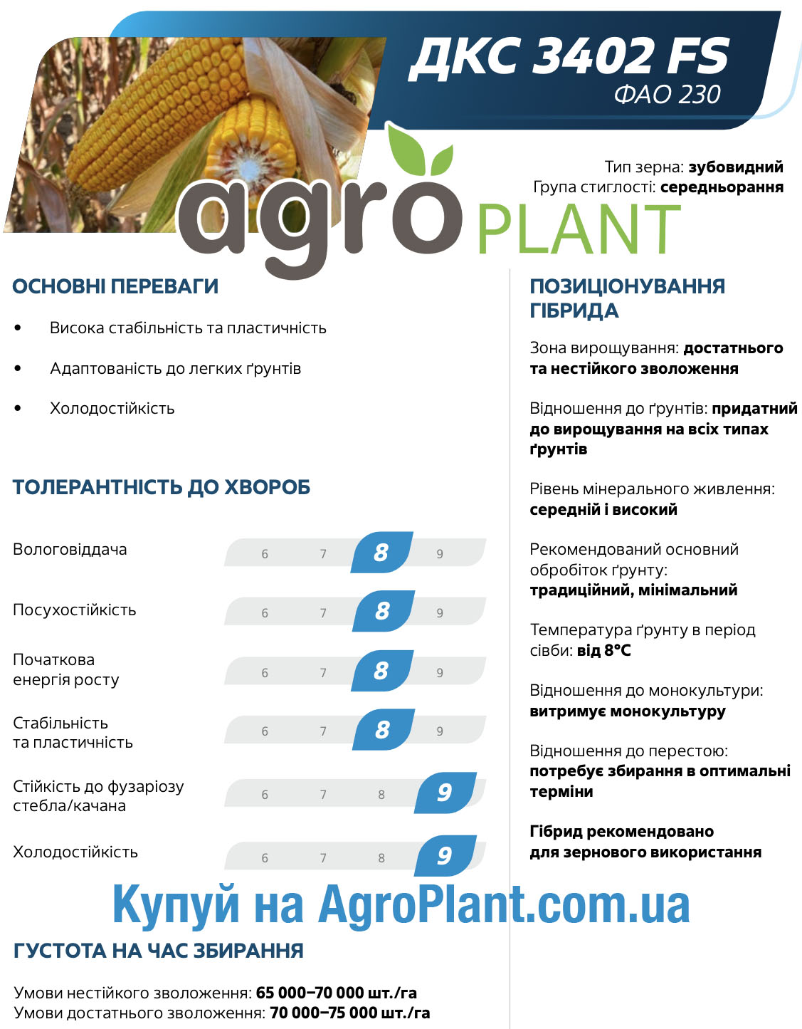 Кукурудза ДКС 3402 Монсанто