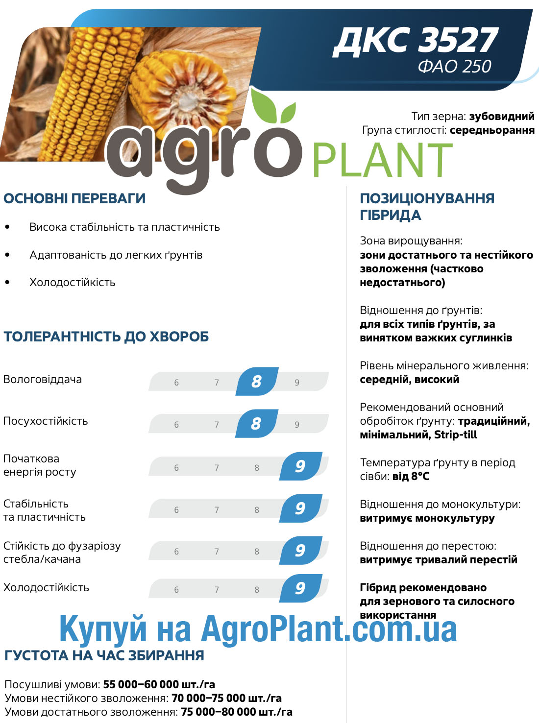 Кукурудза ДКС 3527 Монсанто