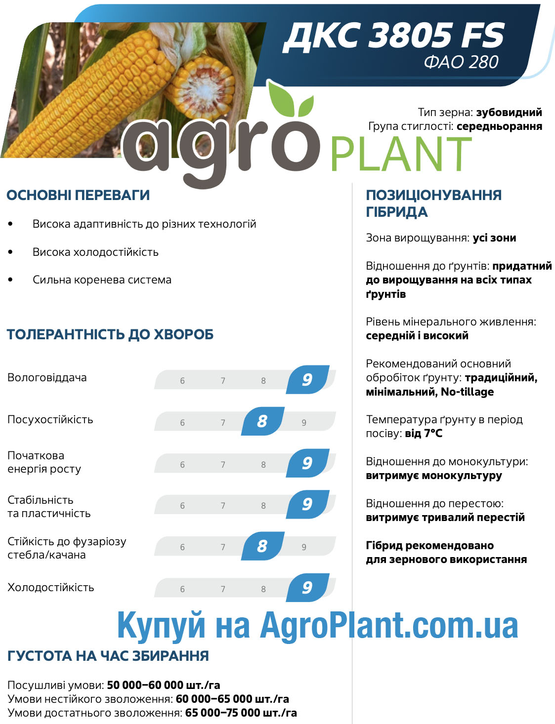 Кукурудза ДКС 3805 Монсанто