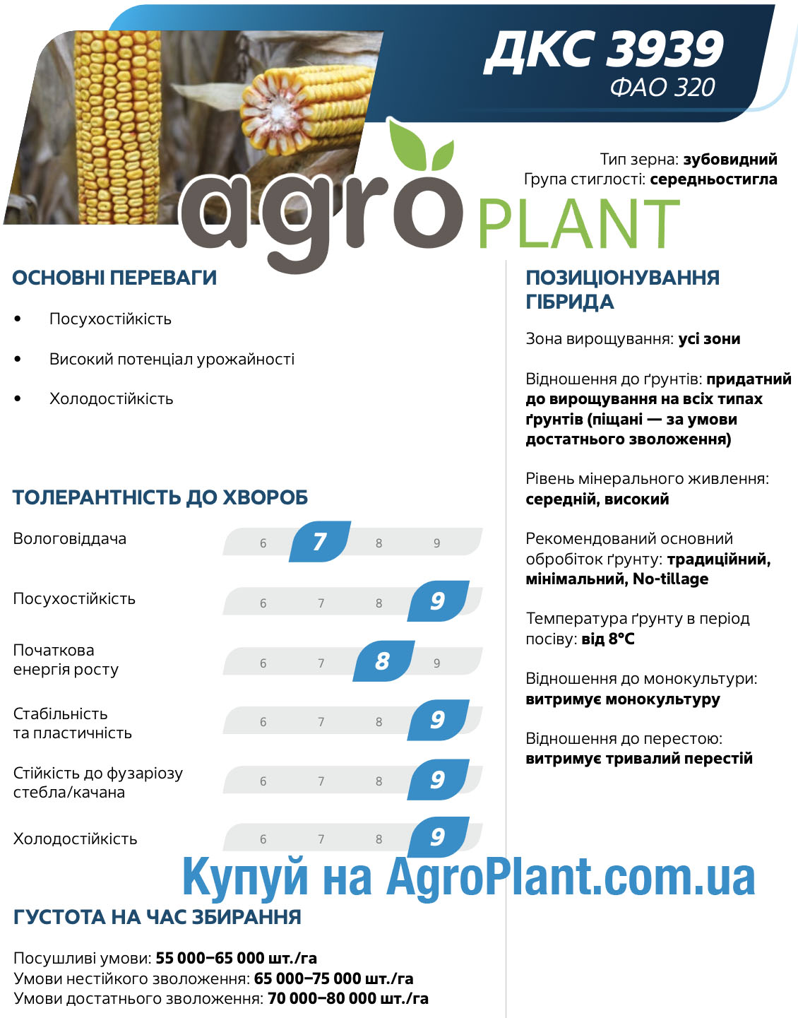 Кукурудза ДКС 3939 Монсанто